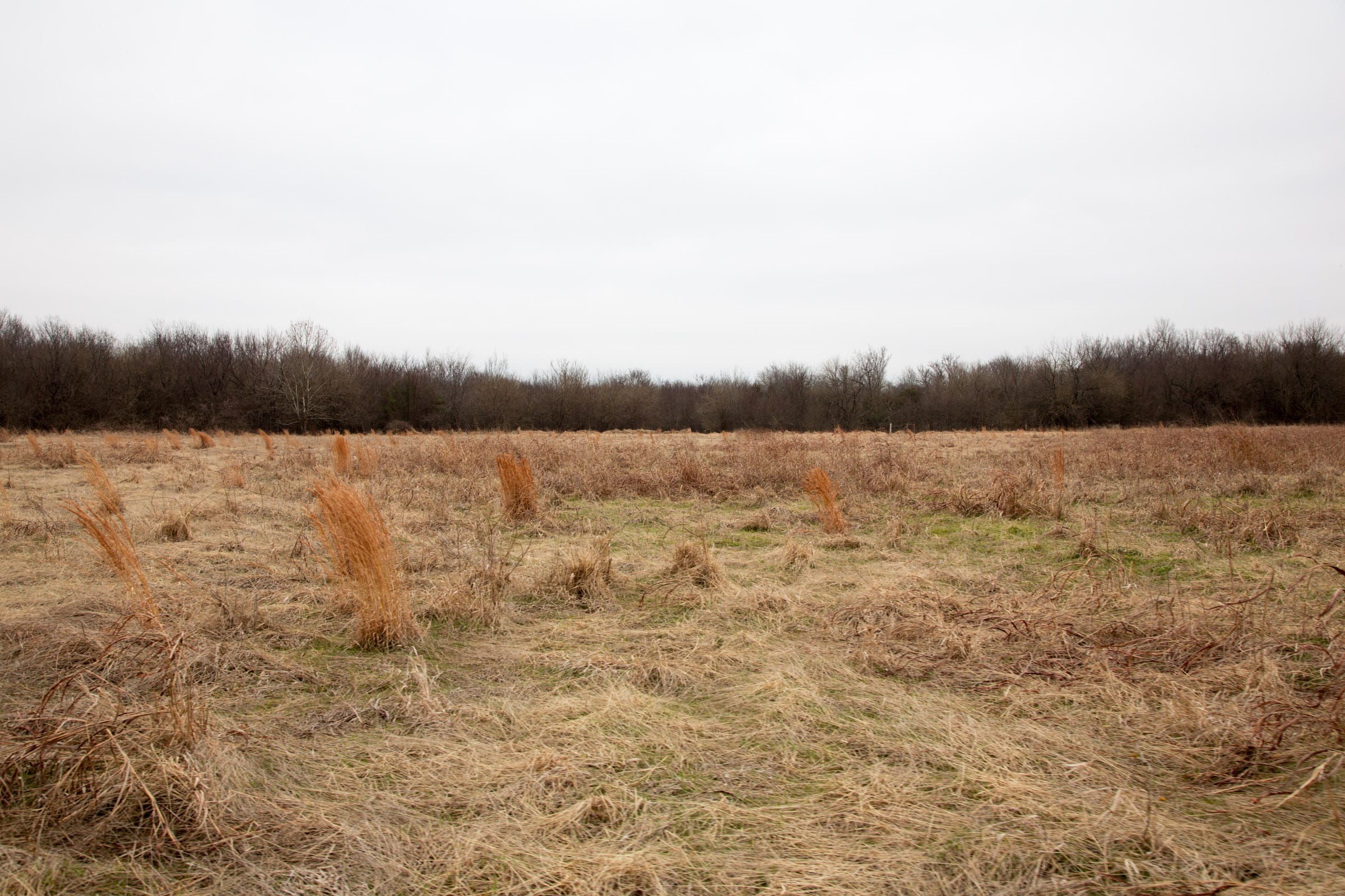 Canadian Plains Tract 27 photo 9