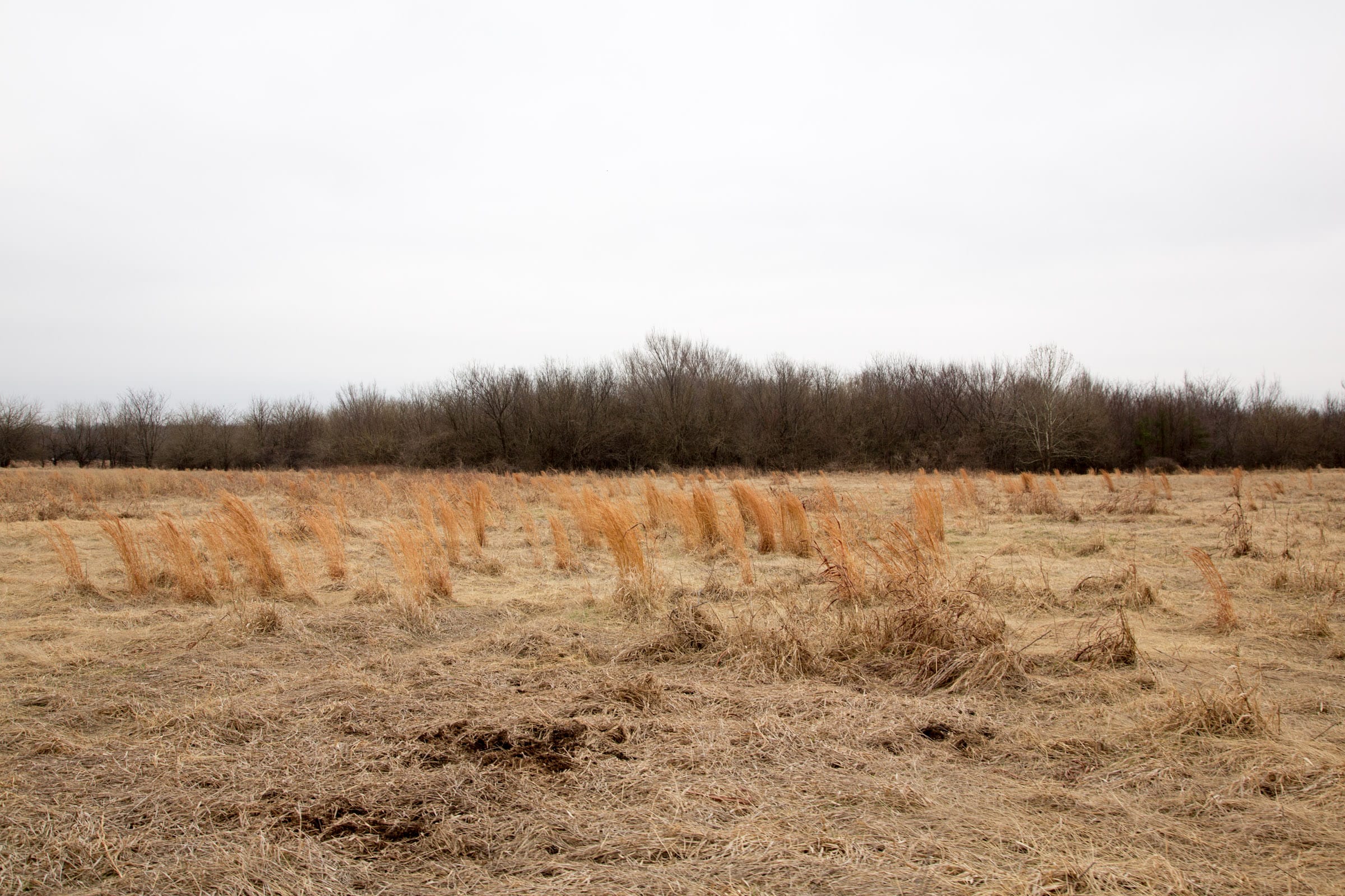 Canadian Plains Tract 27 photo 10