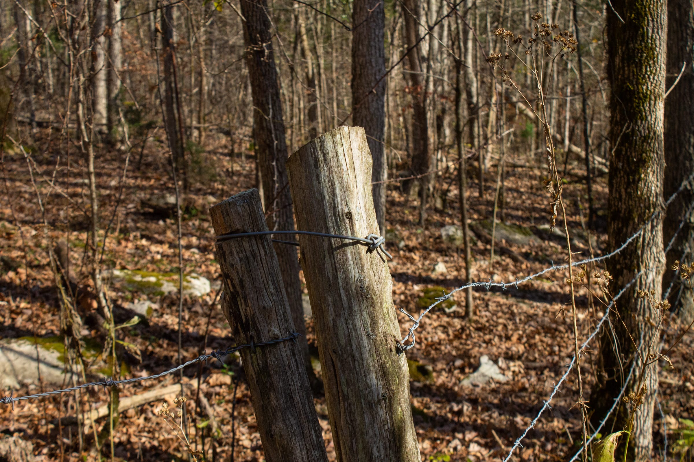 The Cliffs Tract 8 photo 2