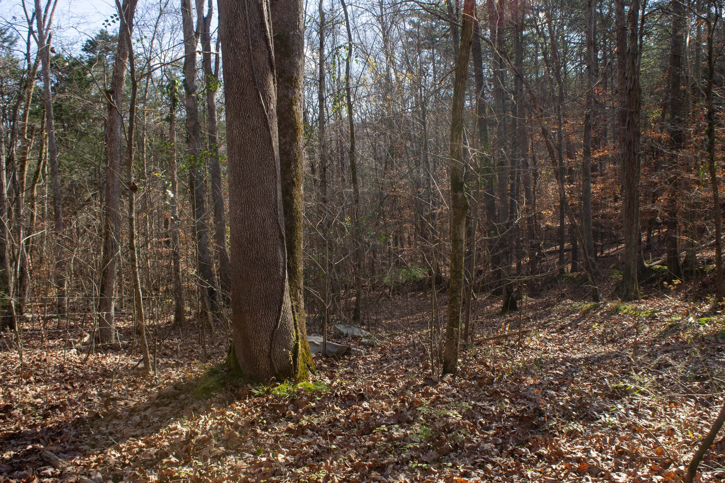 The Cliffs Tract 8 photo 3