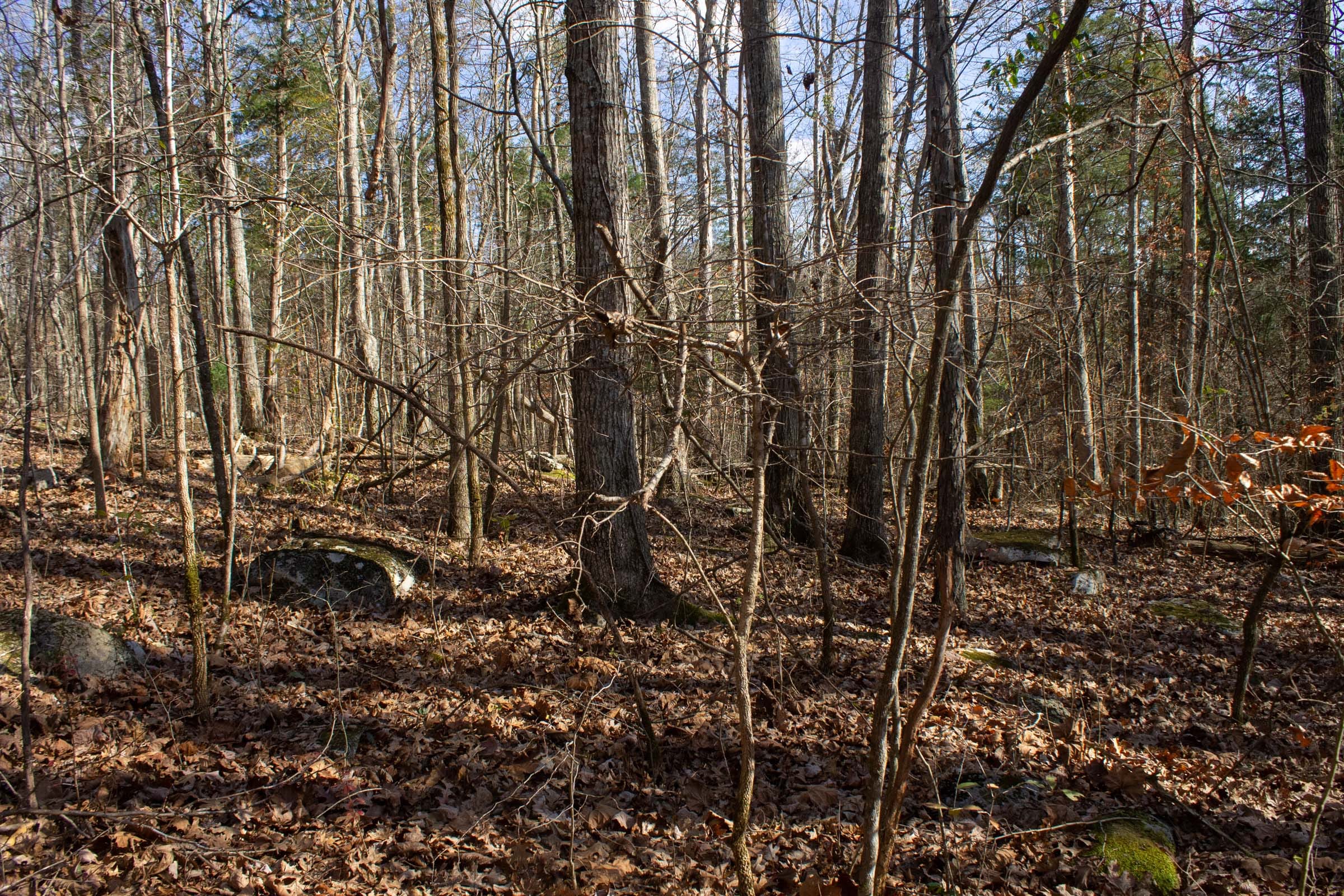 The Cliffs Tract 8 photo 4