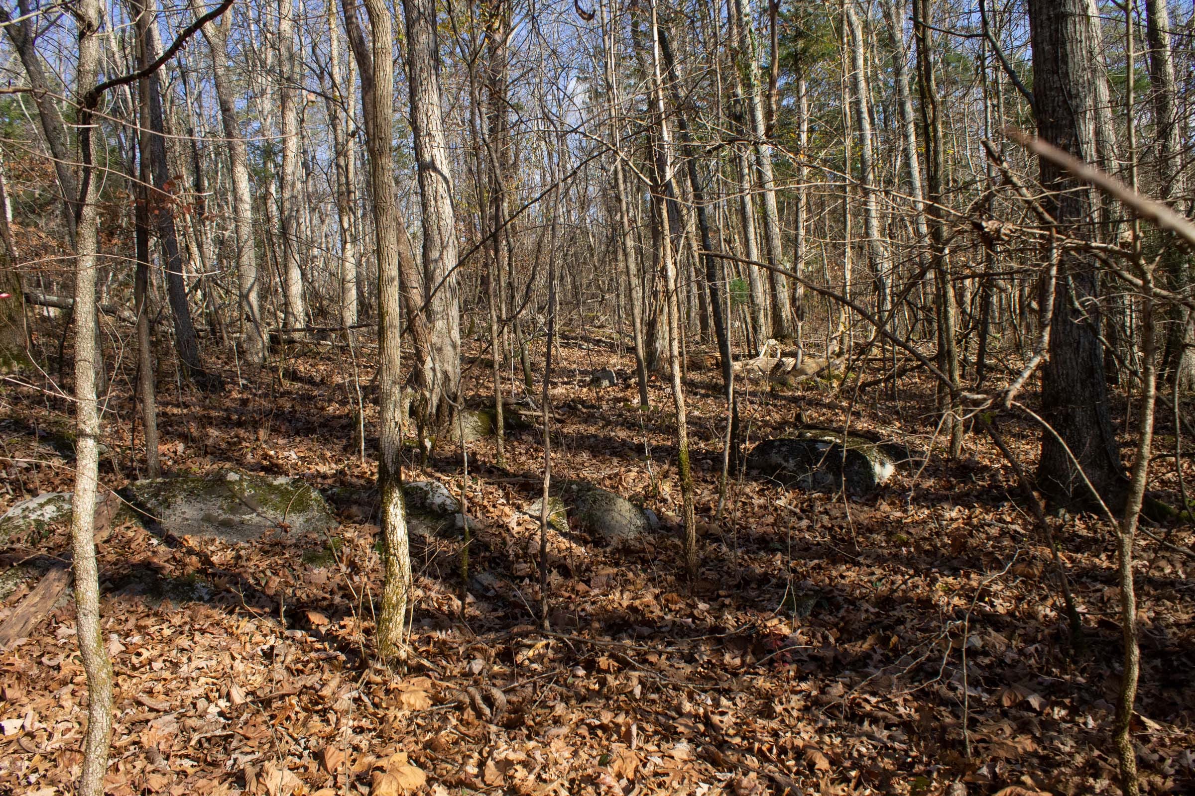 The Cliffs Tract 8 photo 5