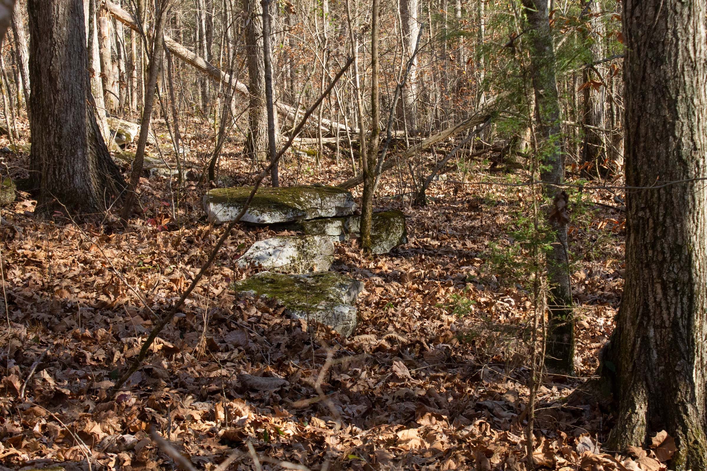 The Cliffs Tract 8 photo 7