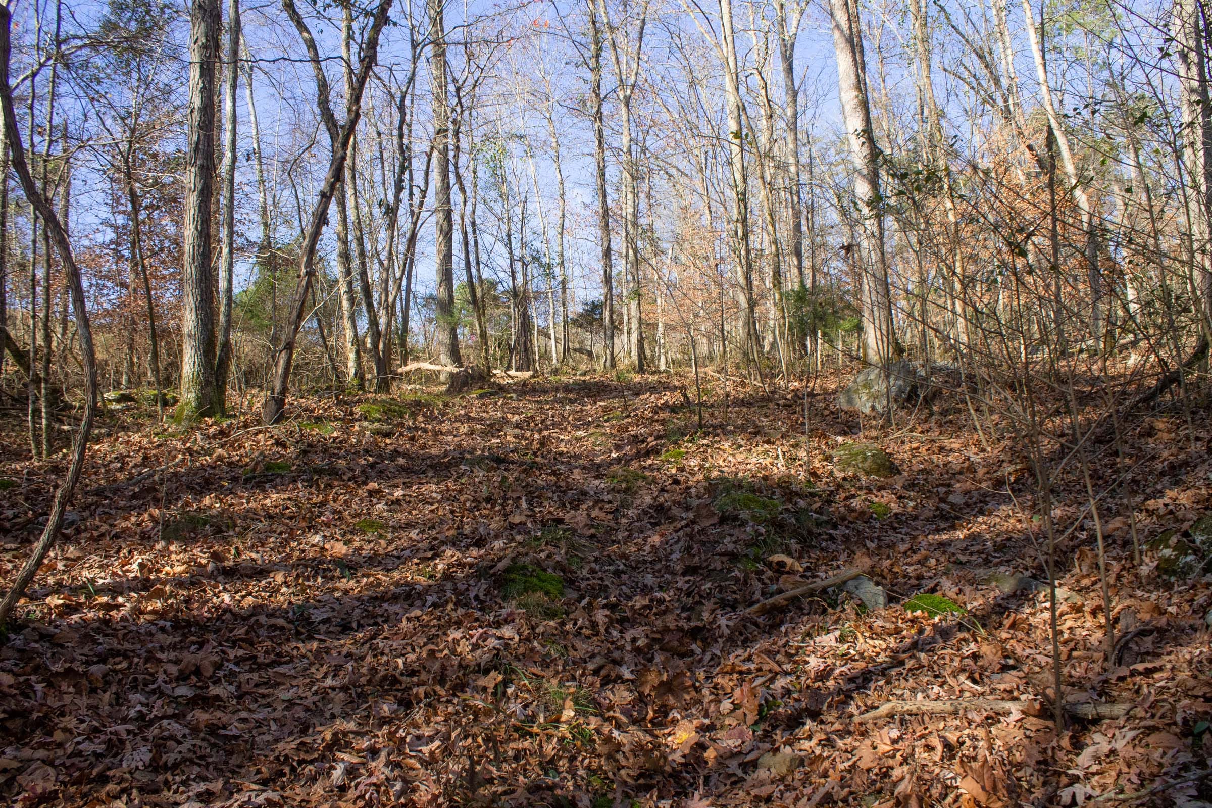 The Cliffs Tract 8 photo 8