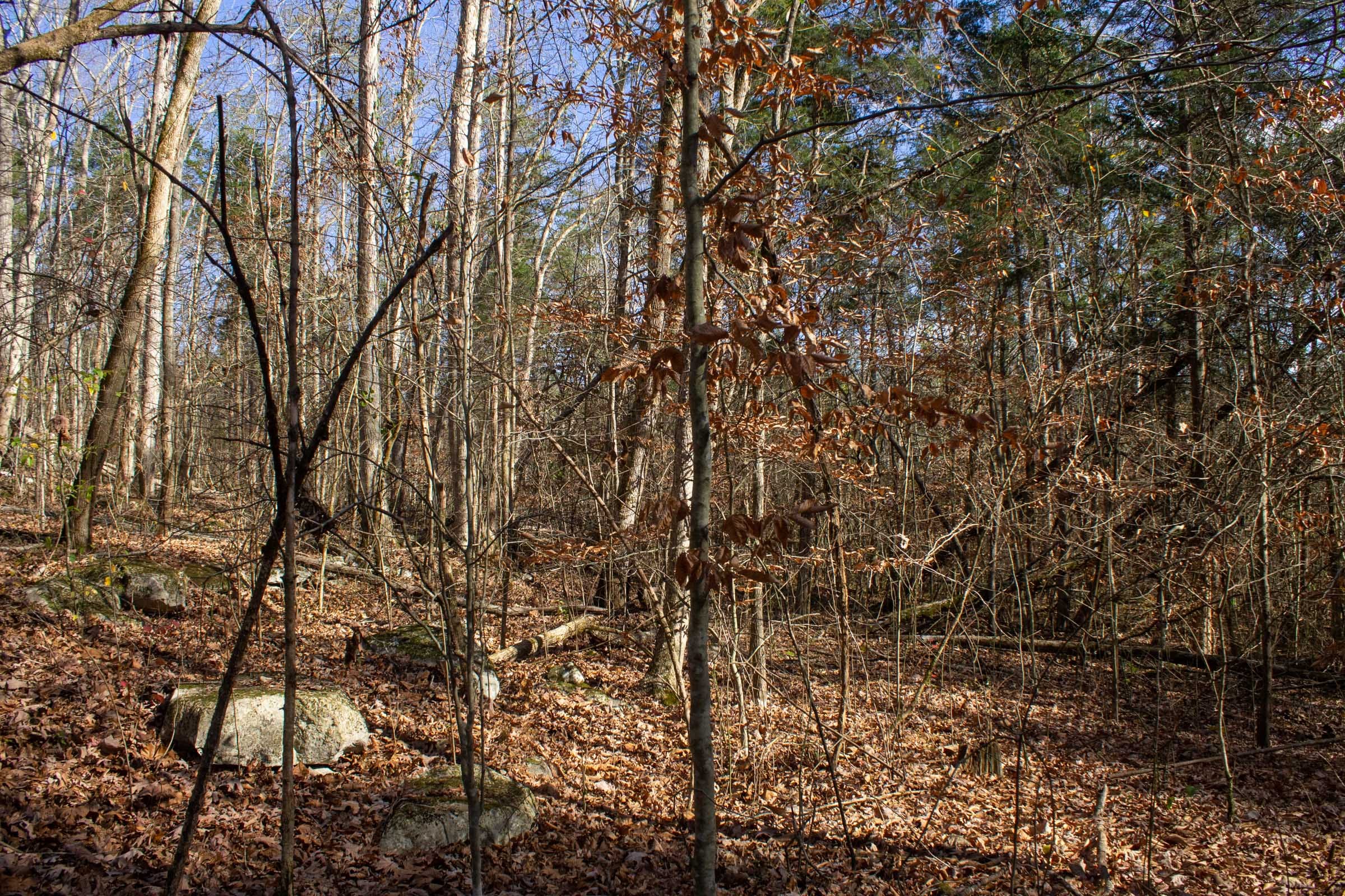 The Cliffs Tract 8 photo 9