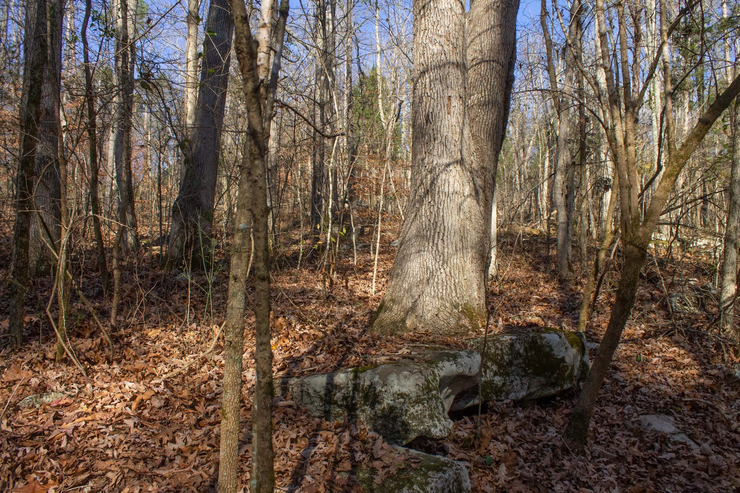 The Cliffs Tract 8 photo 10