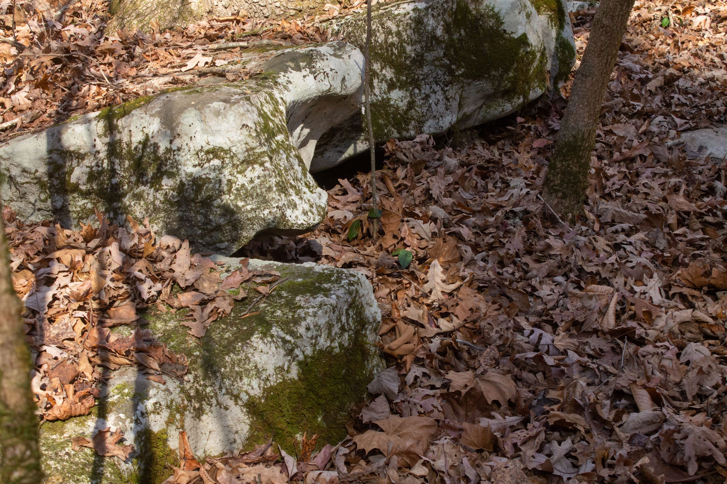 The Cliffs Tract 8 photo 11