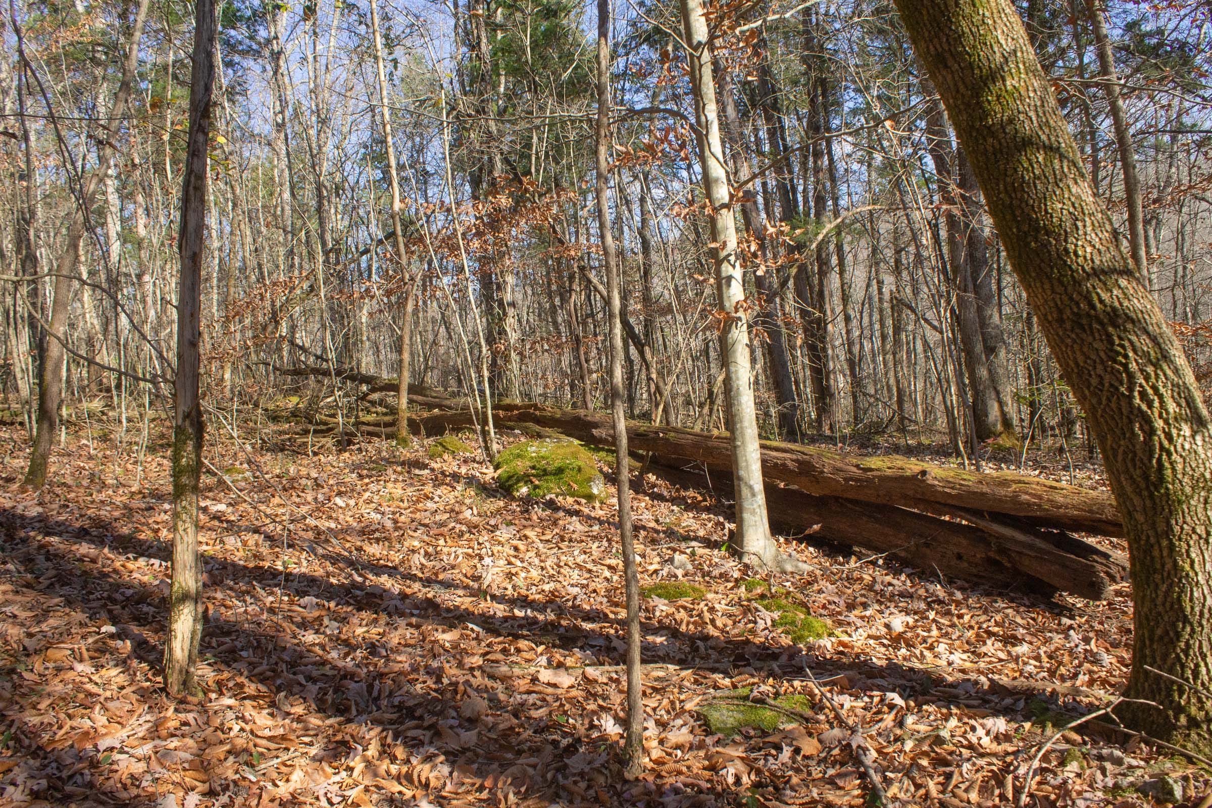 The Cliffs Tract 8 photo 13