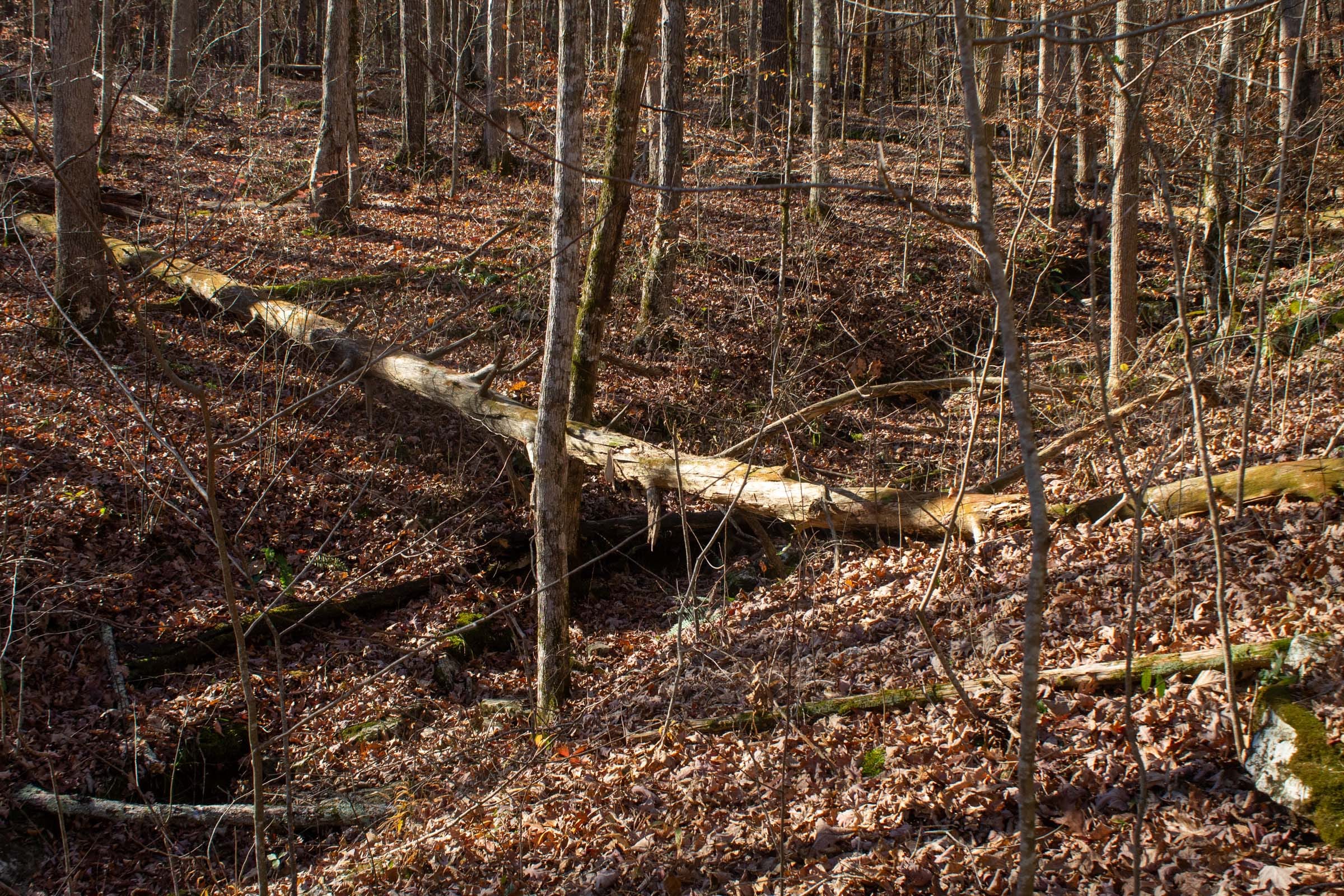 The Cliffs Tract 8 photo 15