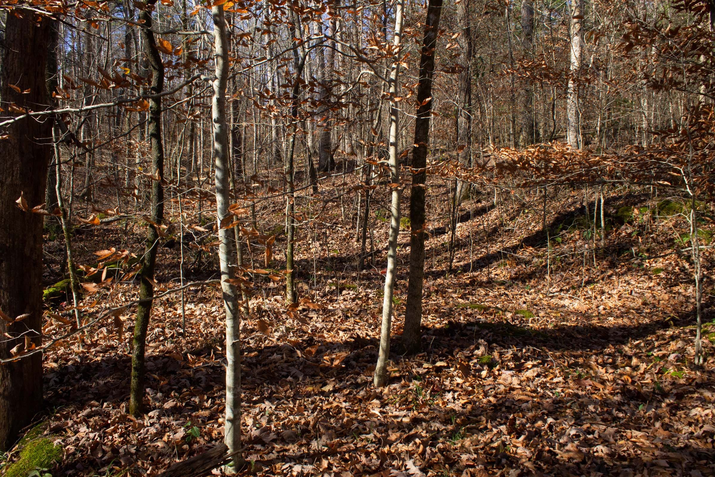 The Cliffs Tract 8 photo 16