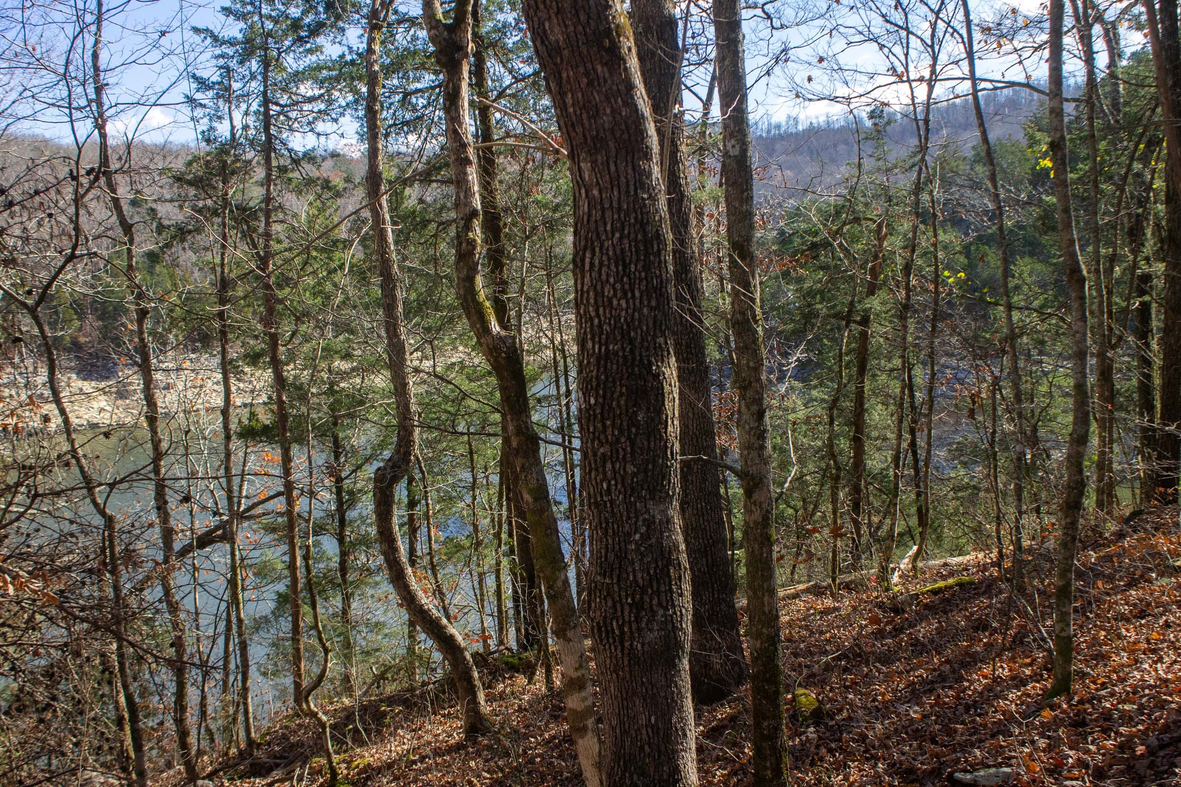 The Cliffs Tract 8 photo 18