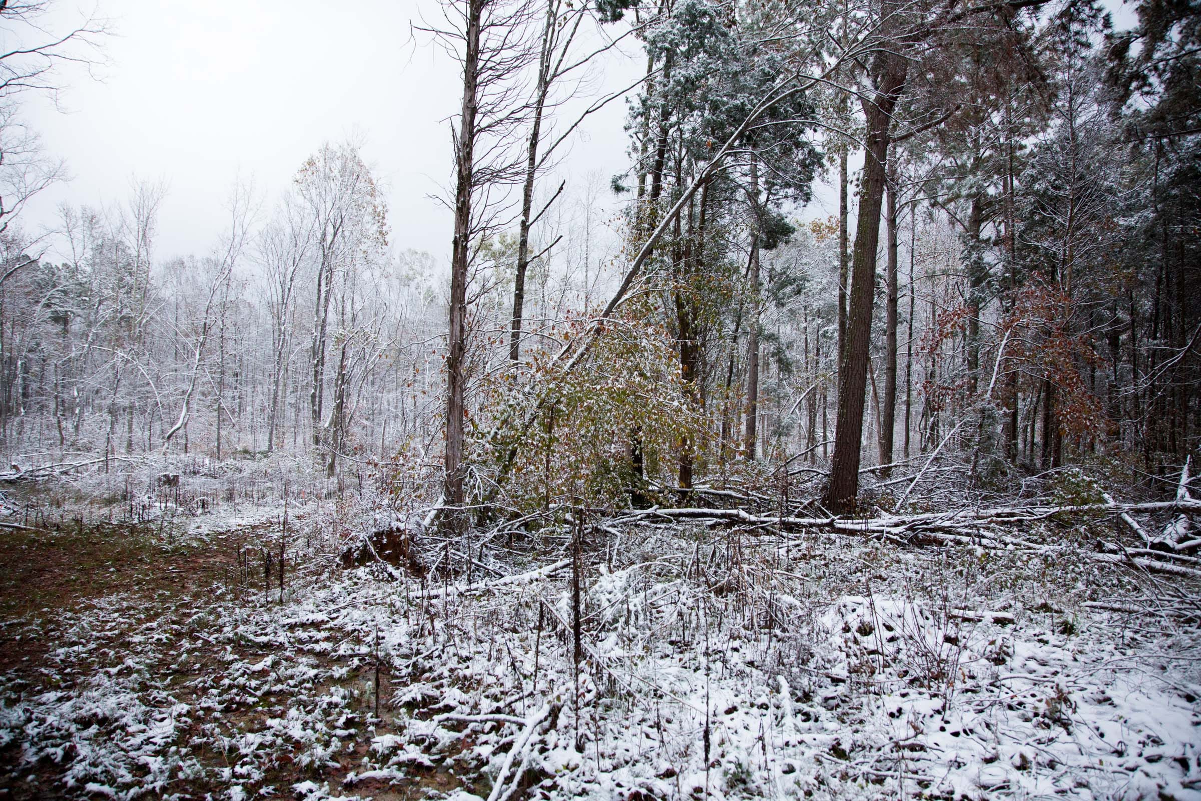 Sweet Water Ranch Tract 24 photo 2
