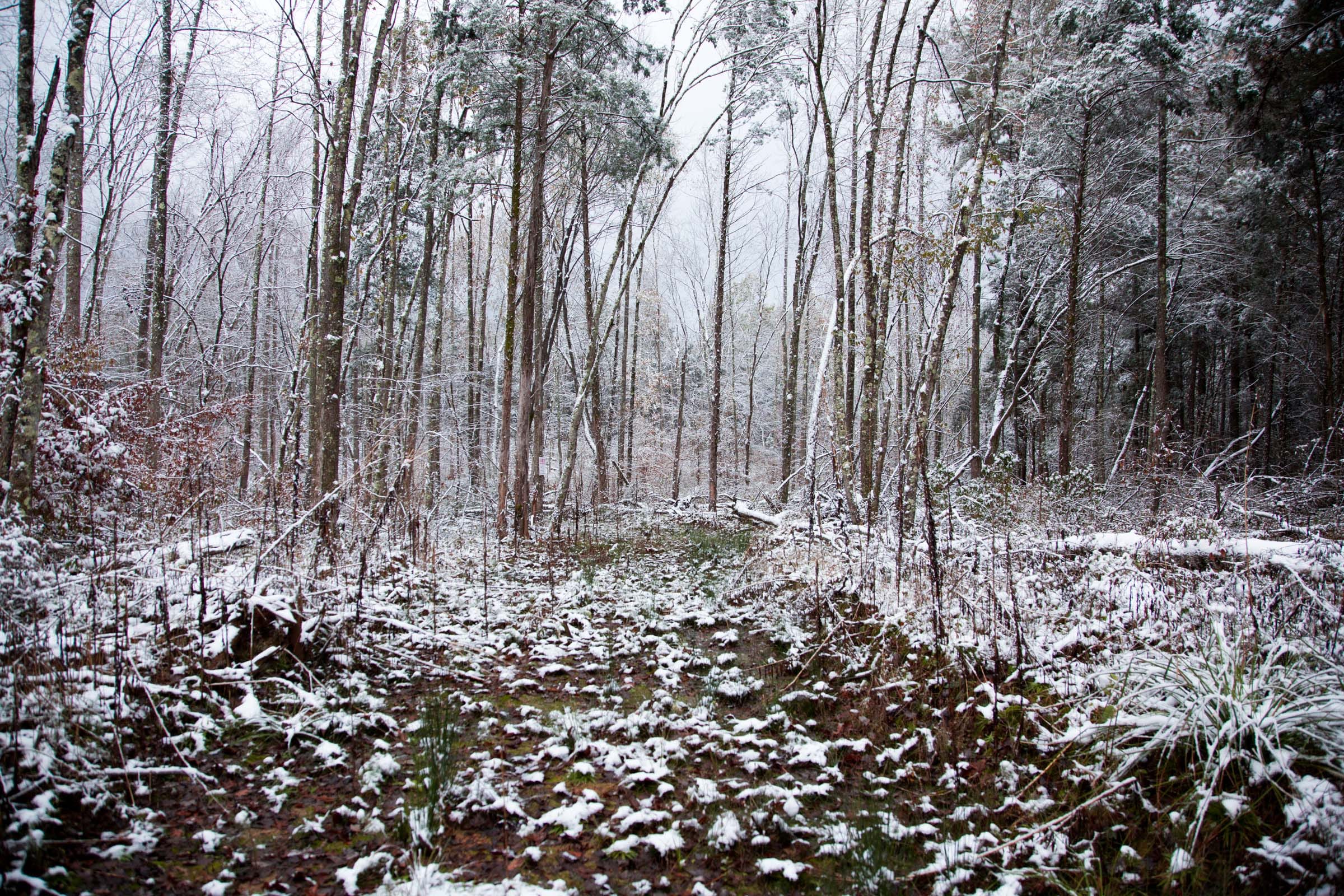 Sweet Water Ranch Tract 24 photo 4