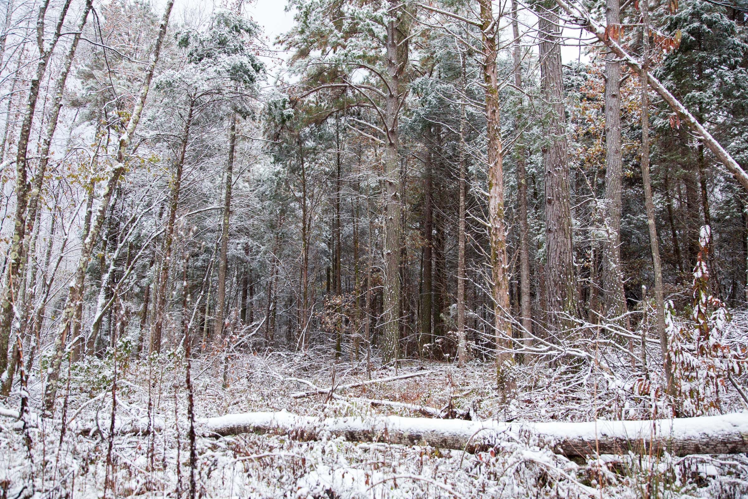 Sweet Water Ranch Tract 24 photo 5