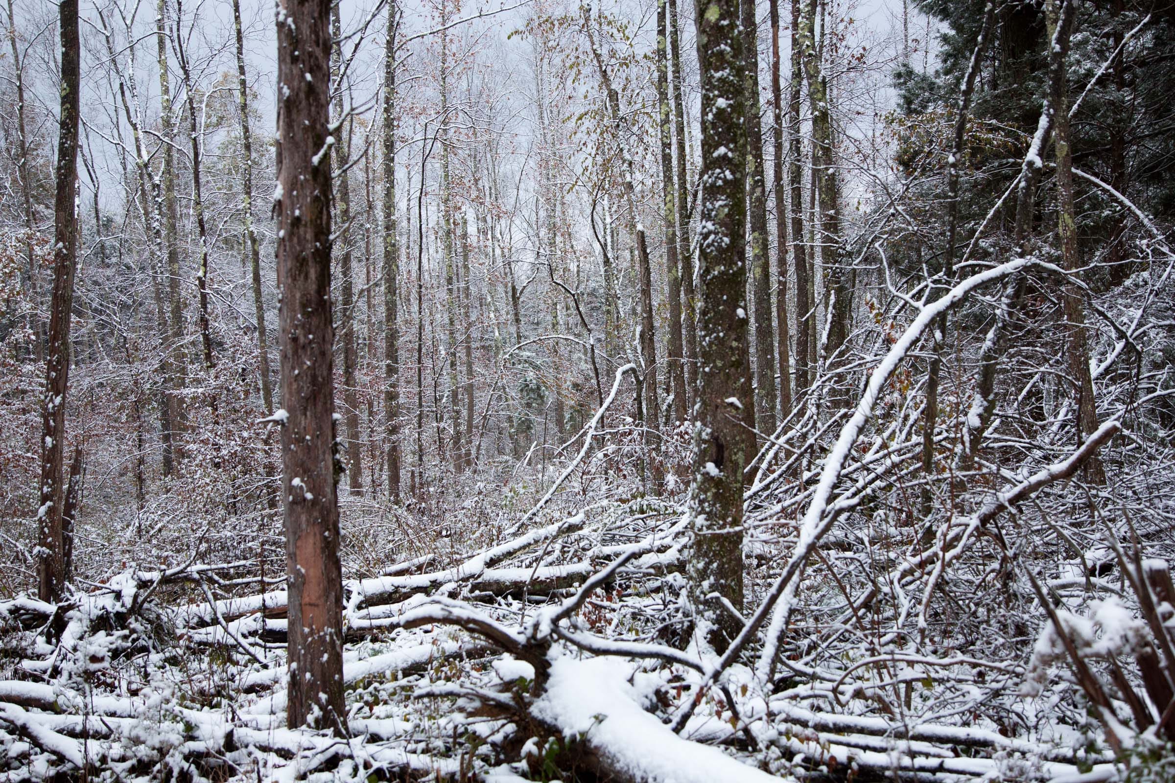 Sweet Water Ranch Tract 24 photo 6