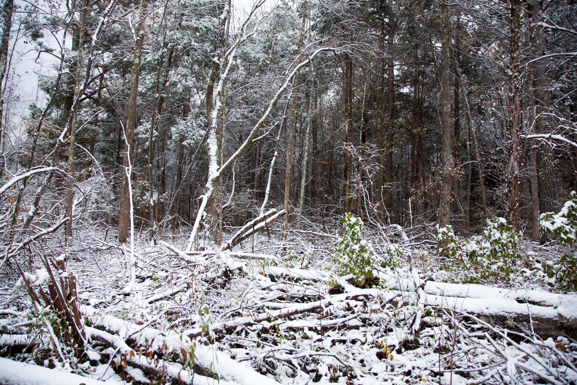 Sweet Water Ranch Tract 24 photo 7