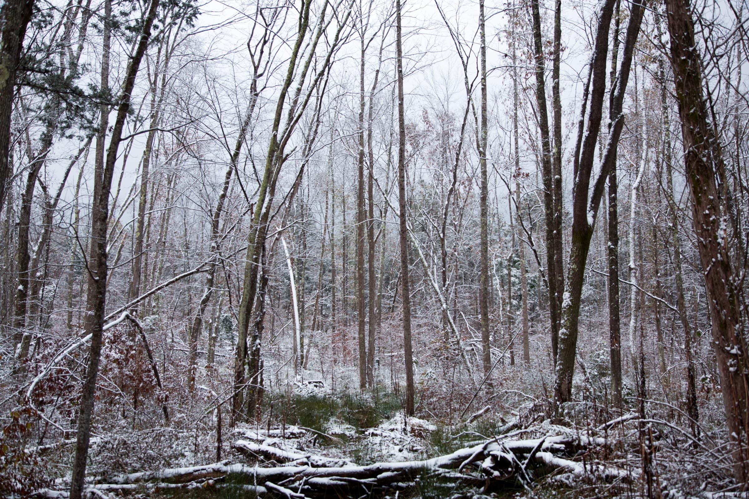 Sweet Water Ranch Tract 24 photo 8