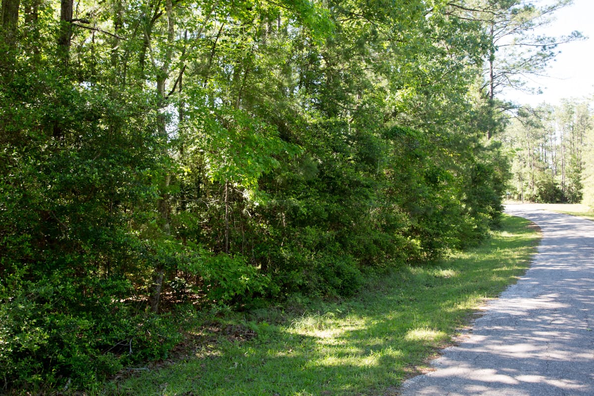 Rayburn Country Tract 157 photo 1