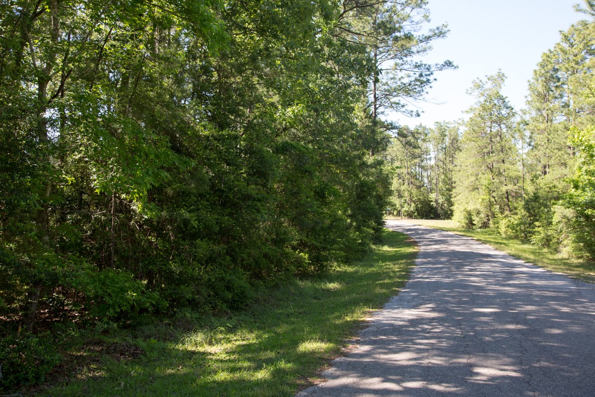 Rayburn Country Tract 157 photo 2