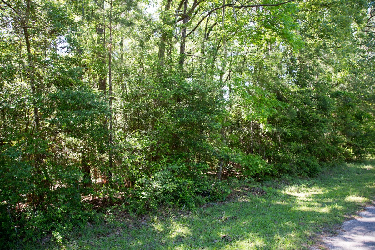 Rayburn Country Tract 157 photo 3