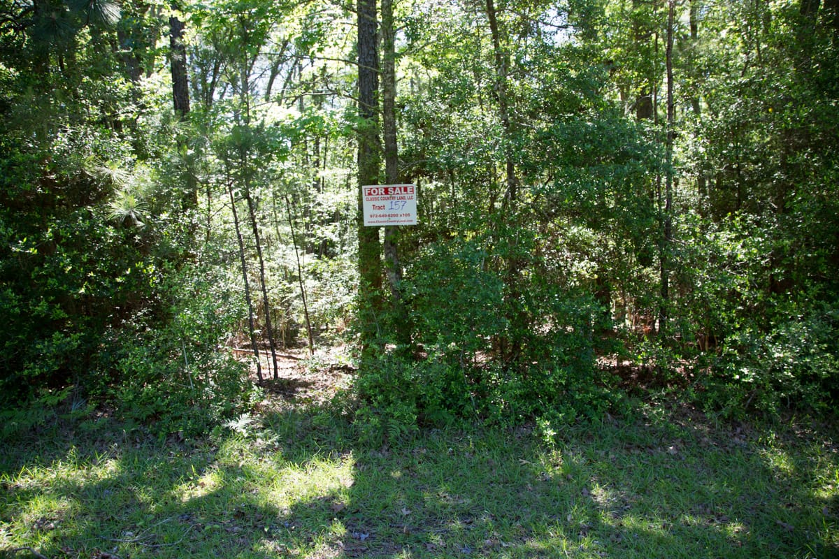 Rayburn Country Tract 157 photo 6
