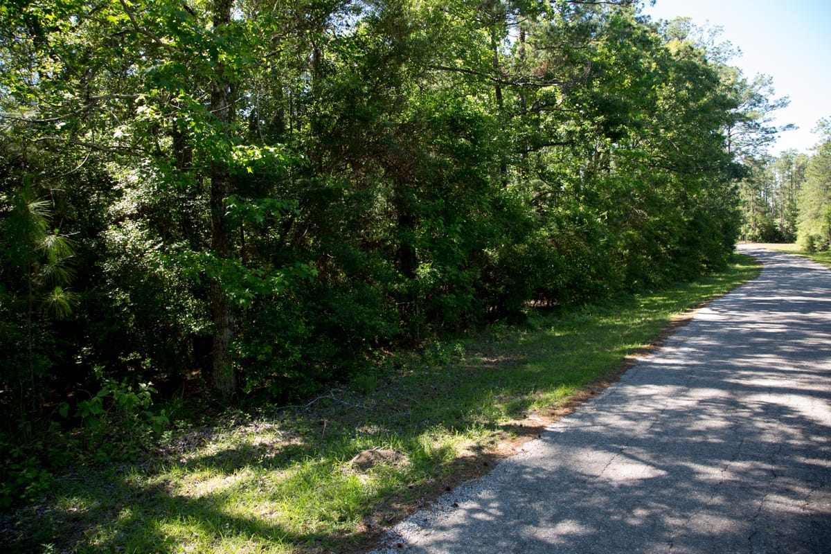 Rayburn Country Tract 157 photo 12