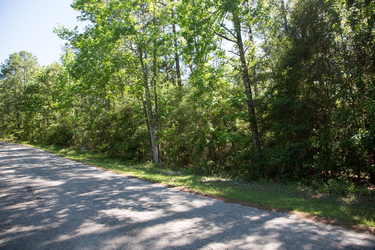 Rayburn Country Tract 157 photo 13