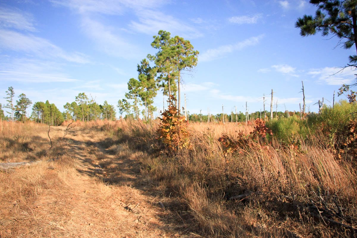 Stone Creek Phase III Tract 38 photo 1