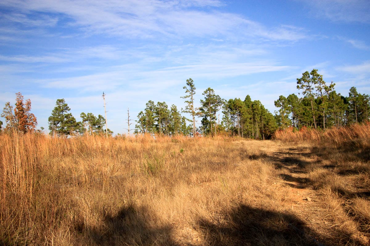 Stone Creek Phase III Tract 38 photo 5