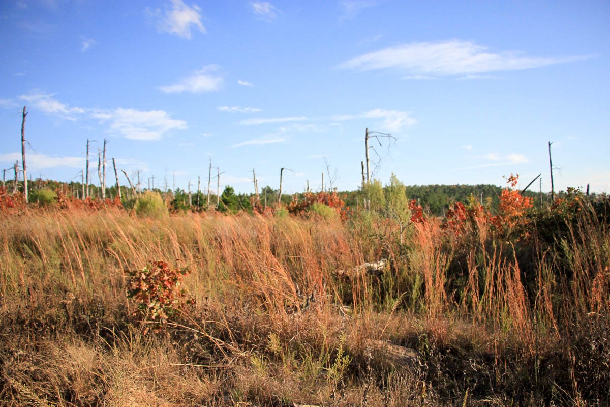 Stone Creek Phase III Tract 38 photo 8