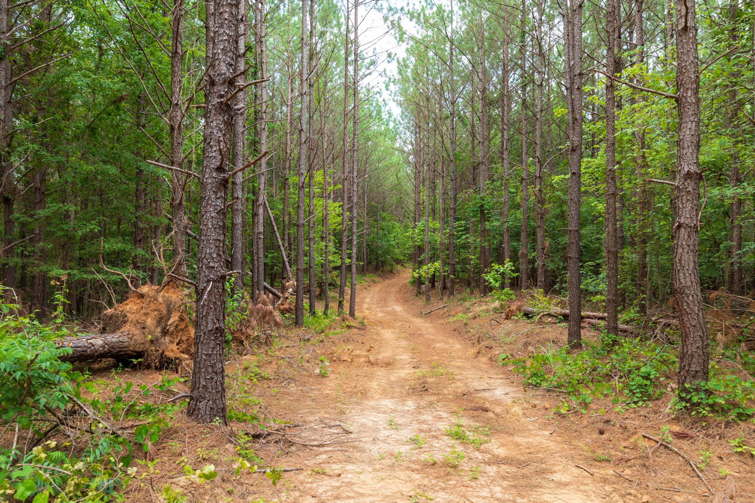 Whiskey Ridge Tract 19 photo 1