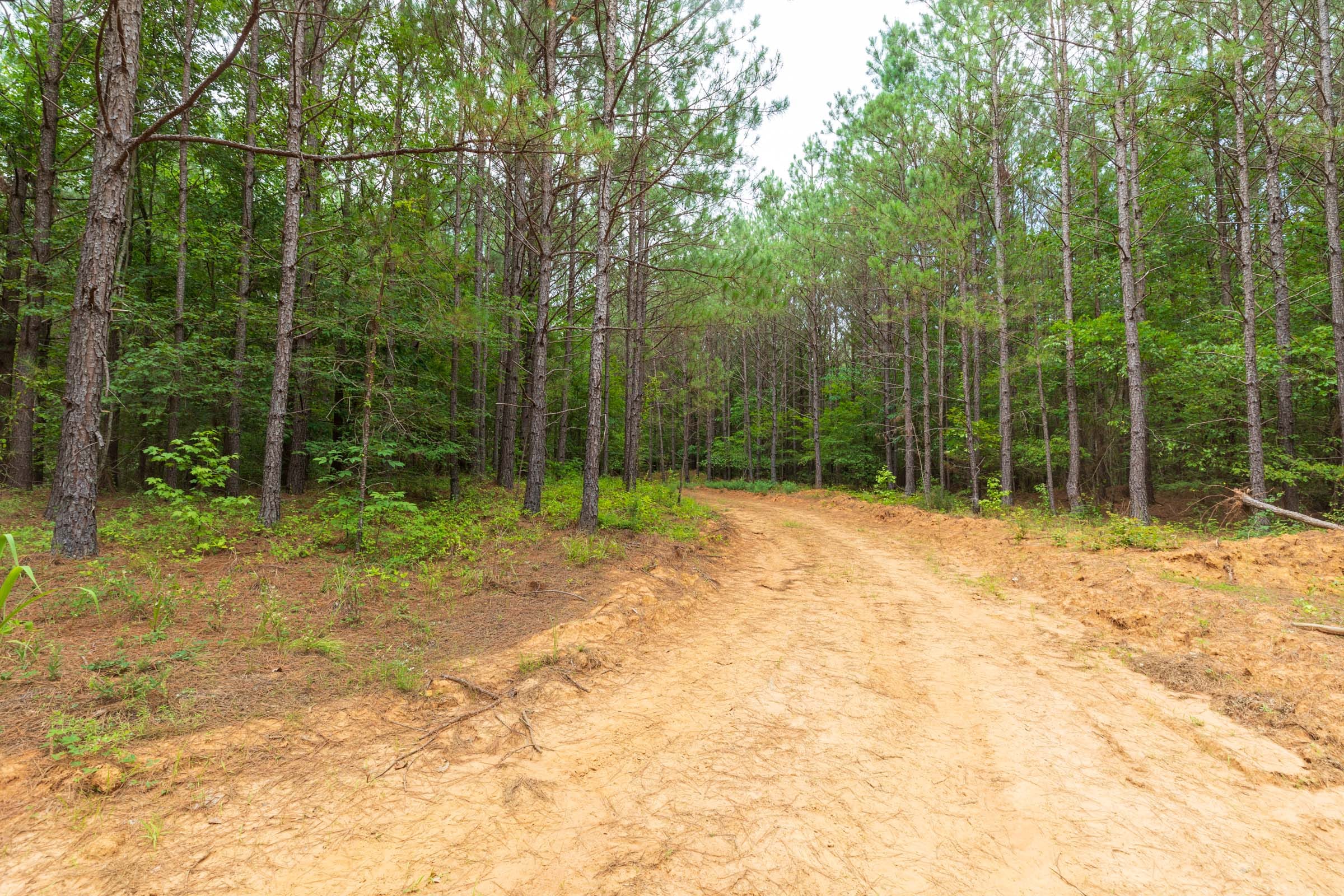 Whiskey Ridge Tract 19 photo 5