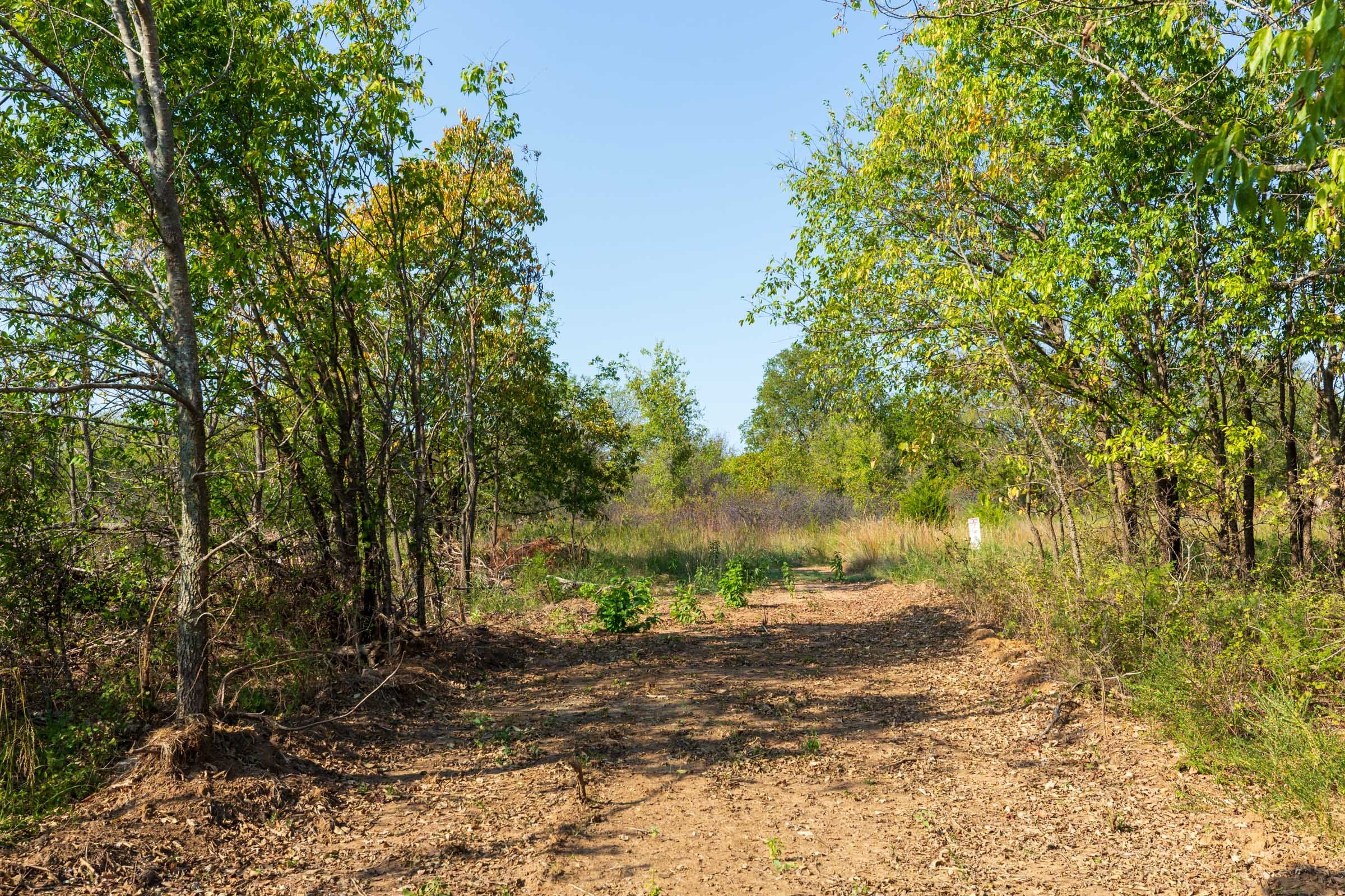 Canyon Creek Tract 19 photo 1