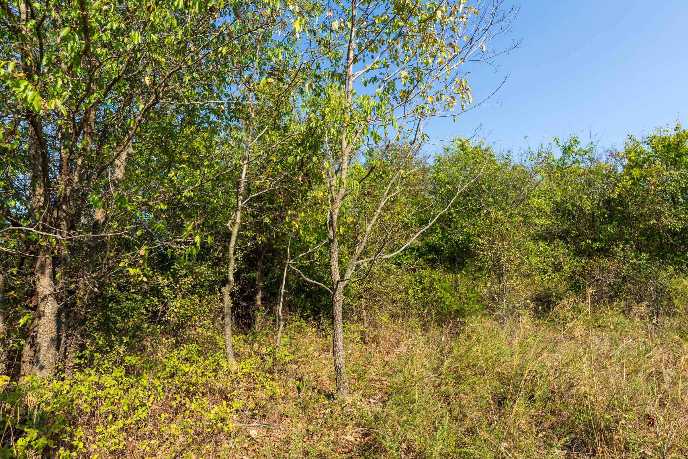 Canyon Creek Tract 19 photo 3