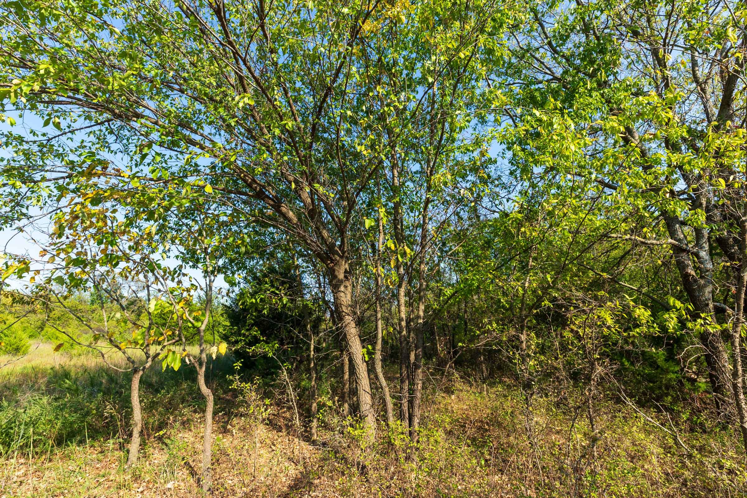 Canyon Creek Tract 19 photo 8