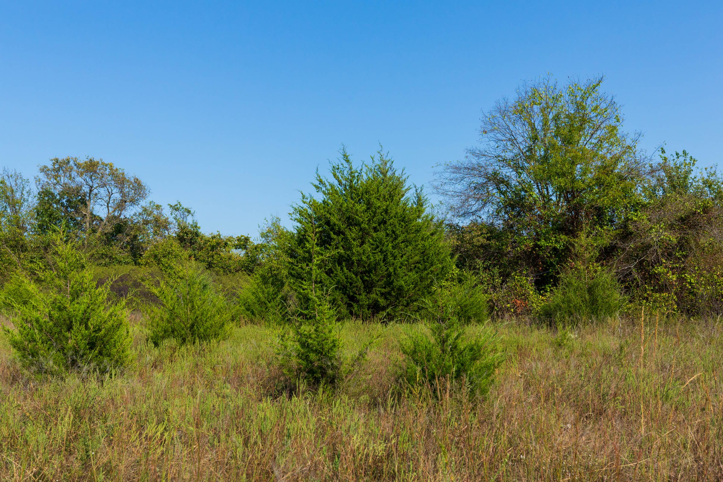 Canyon Creek Tract 19 photo 6