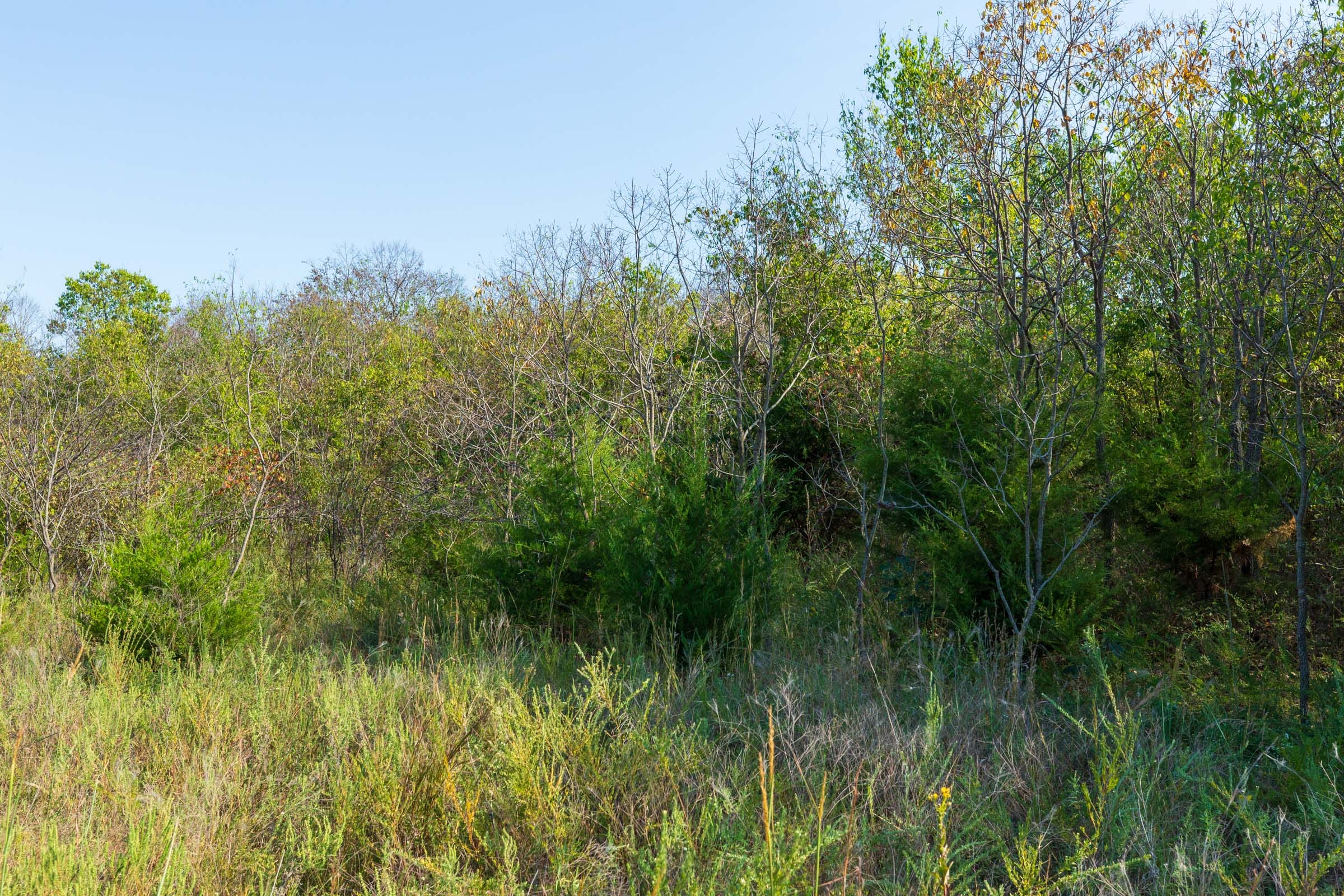 Canyon Creek Tract 19 photo 9