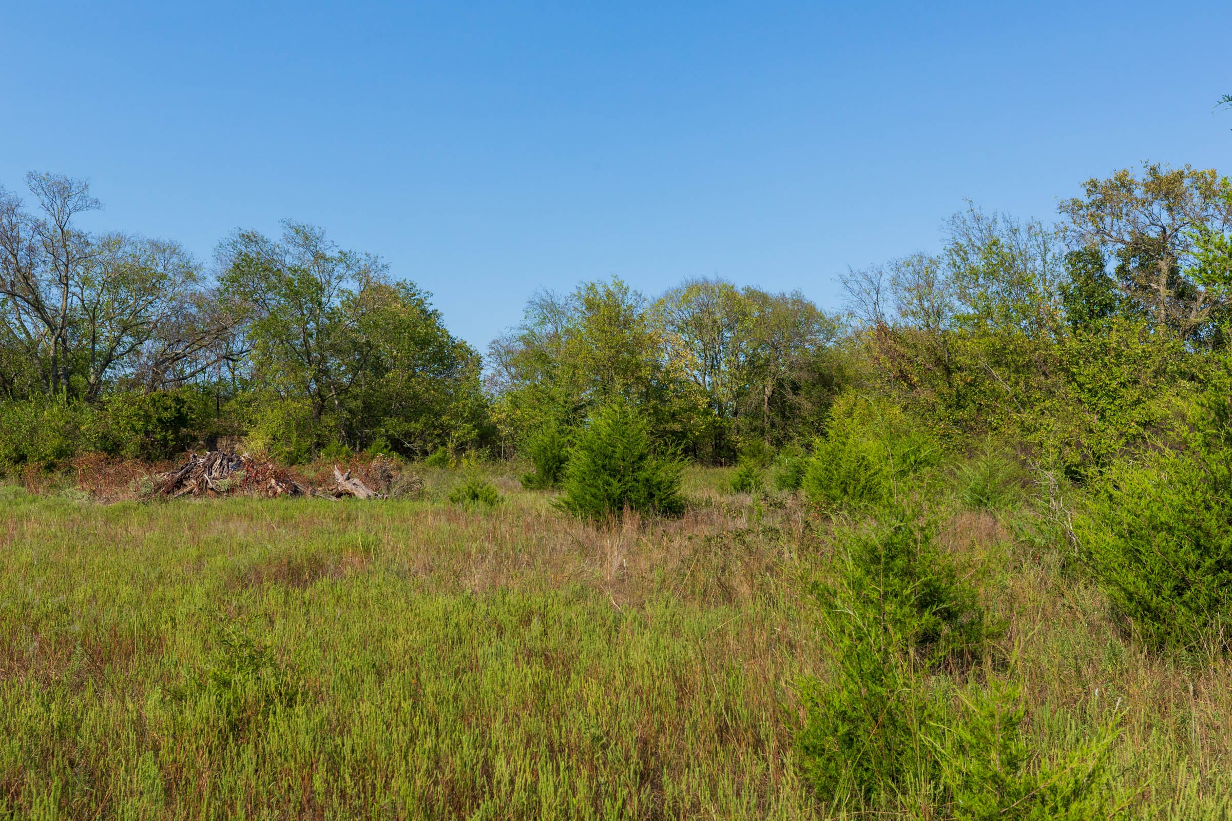 Canyon Creek Tract 19 photo 4