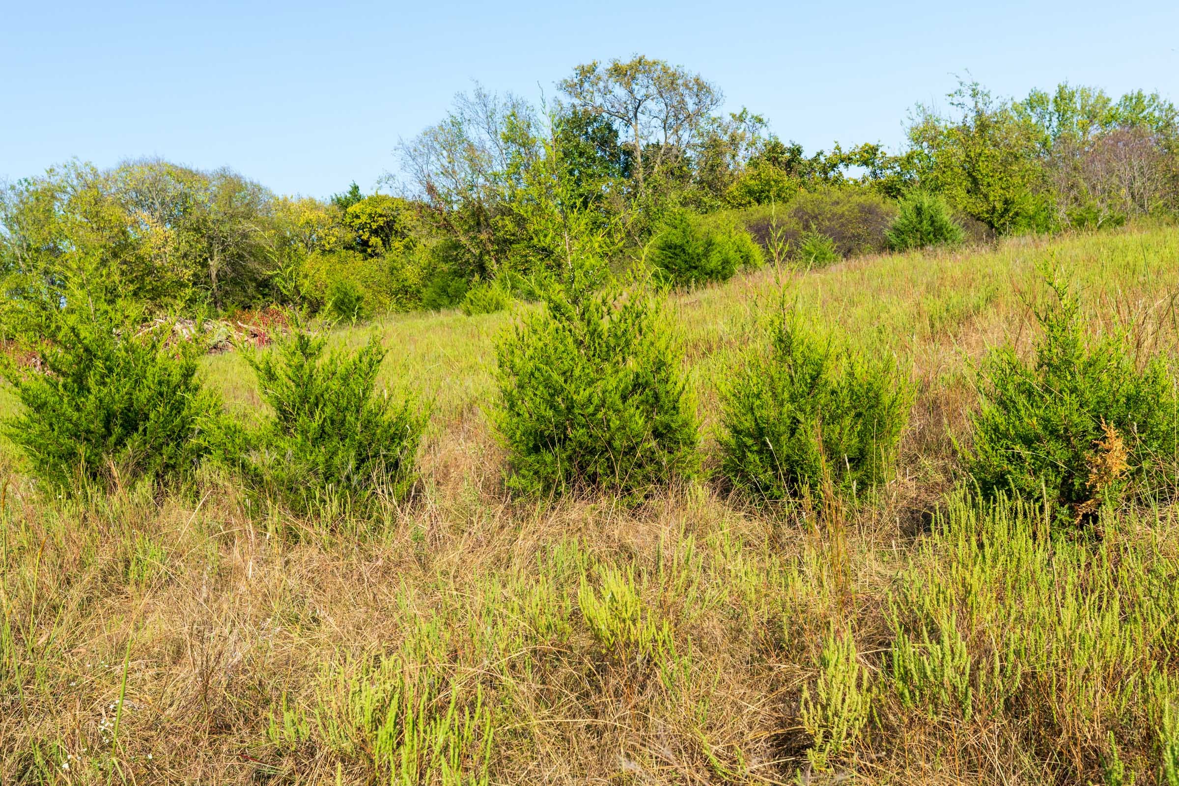 Canyon Creek Tract 19 photo 12