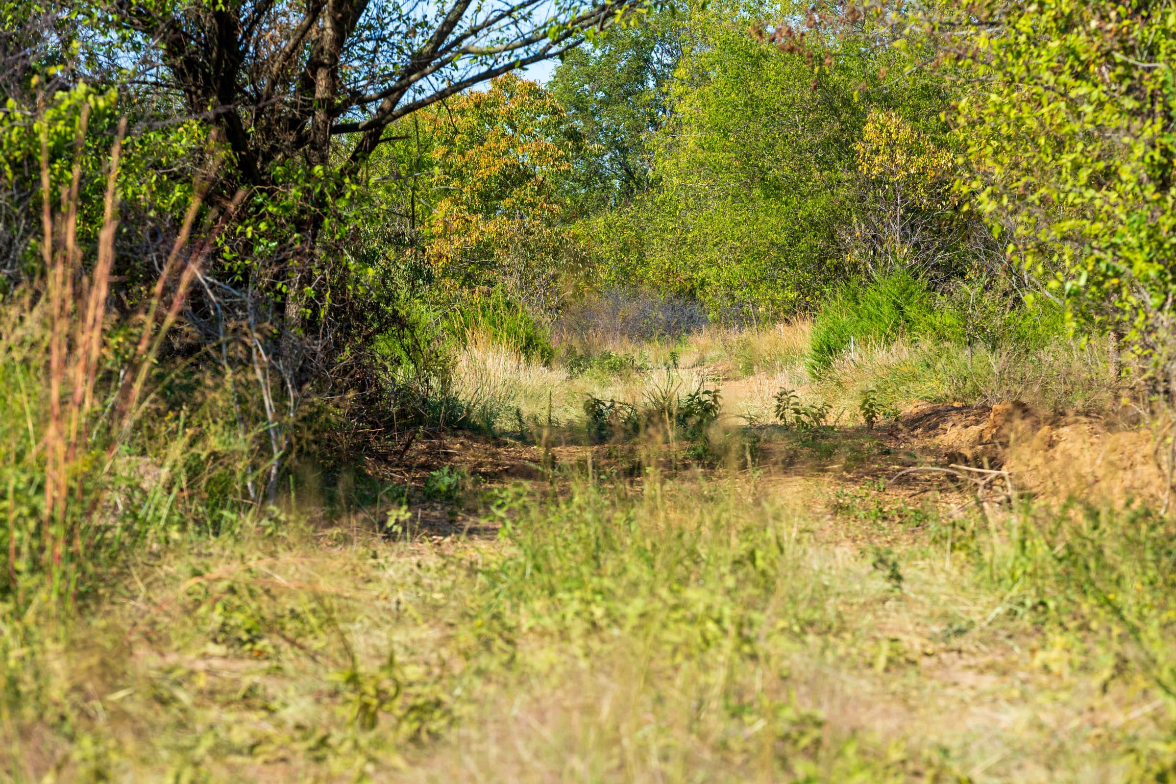 Canyon Creek Tract 19 photo 7