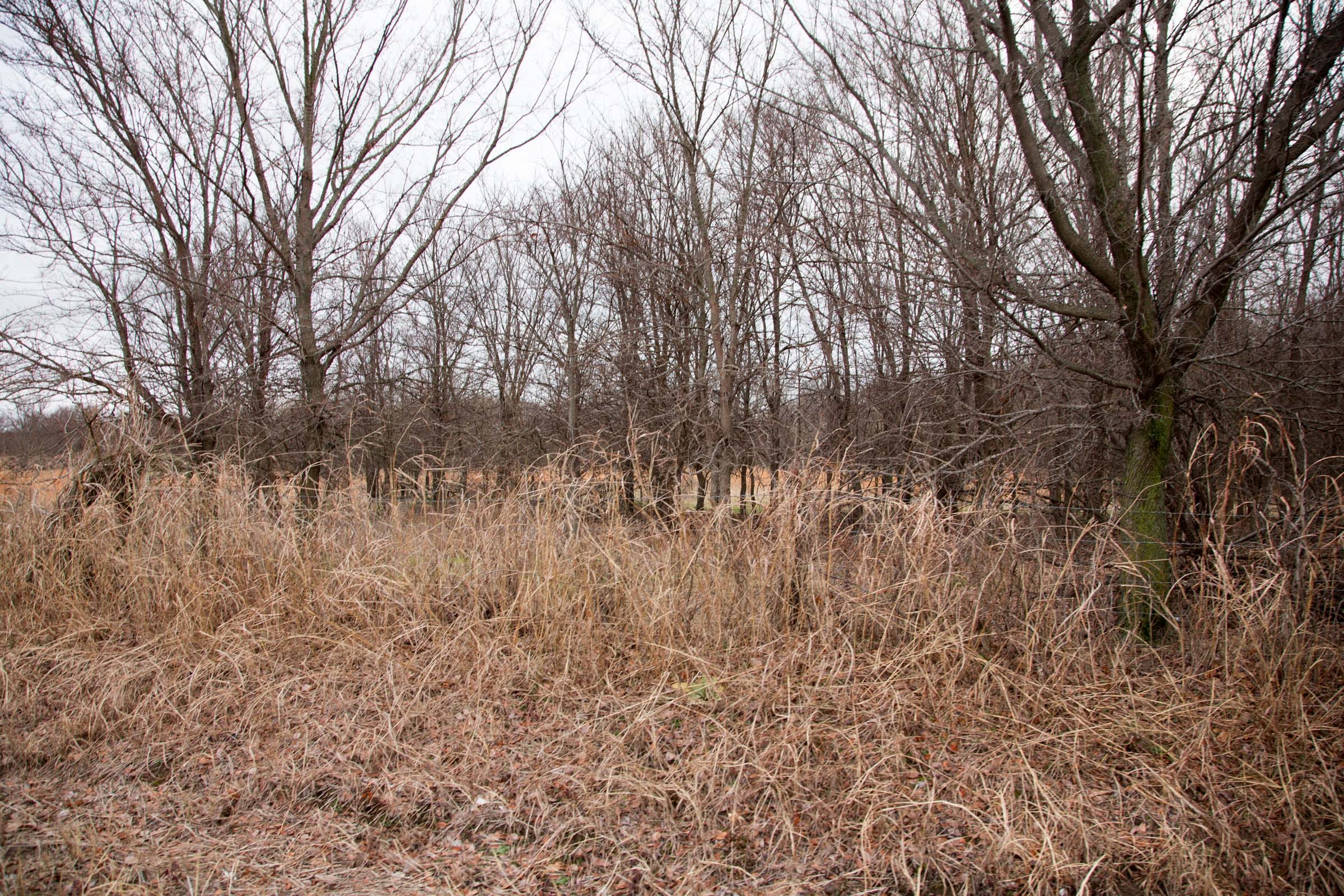 Canadian Plains Tract 4 photo 2