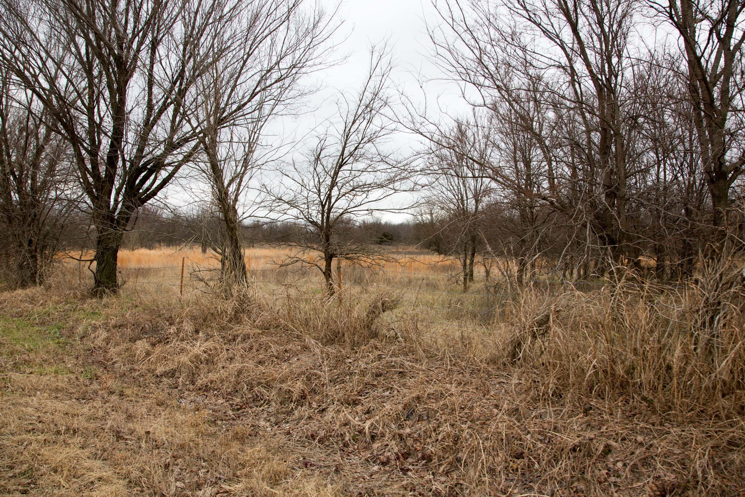 Canadian Plains Tract 4 photo 3