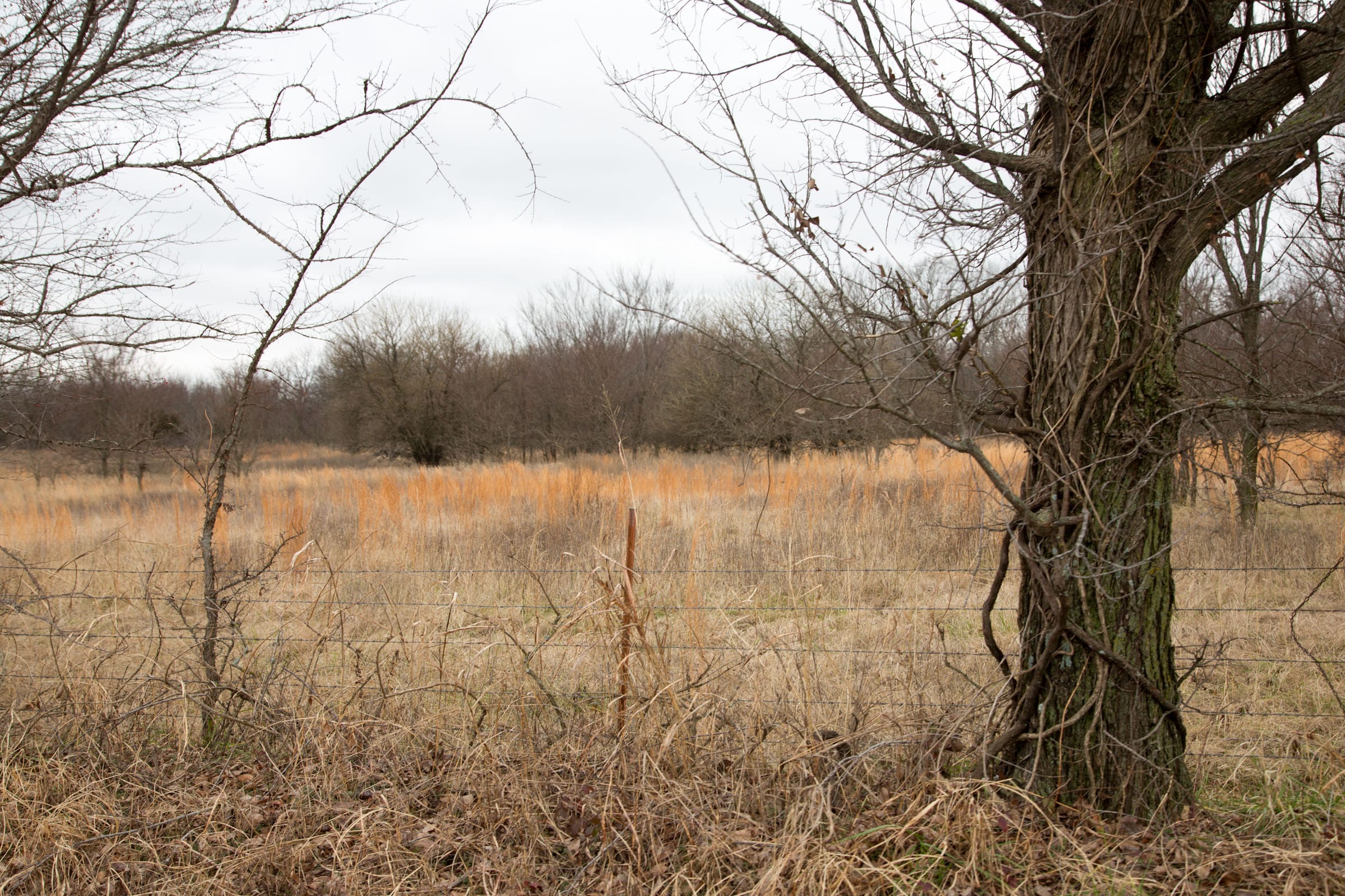 Canadian Plains Tract 4 photo 4