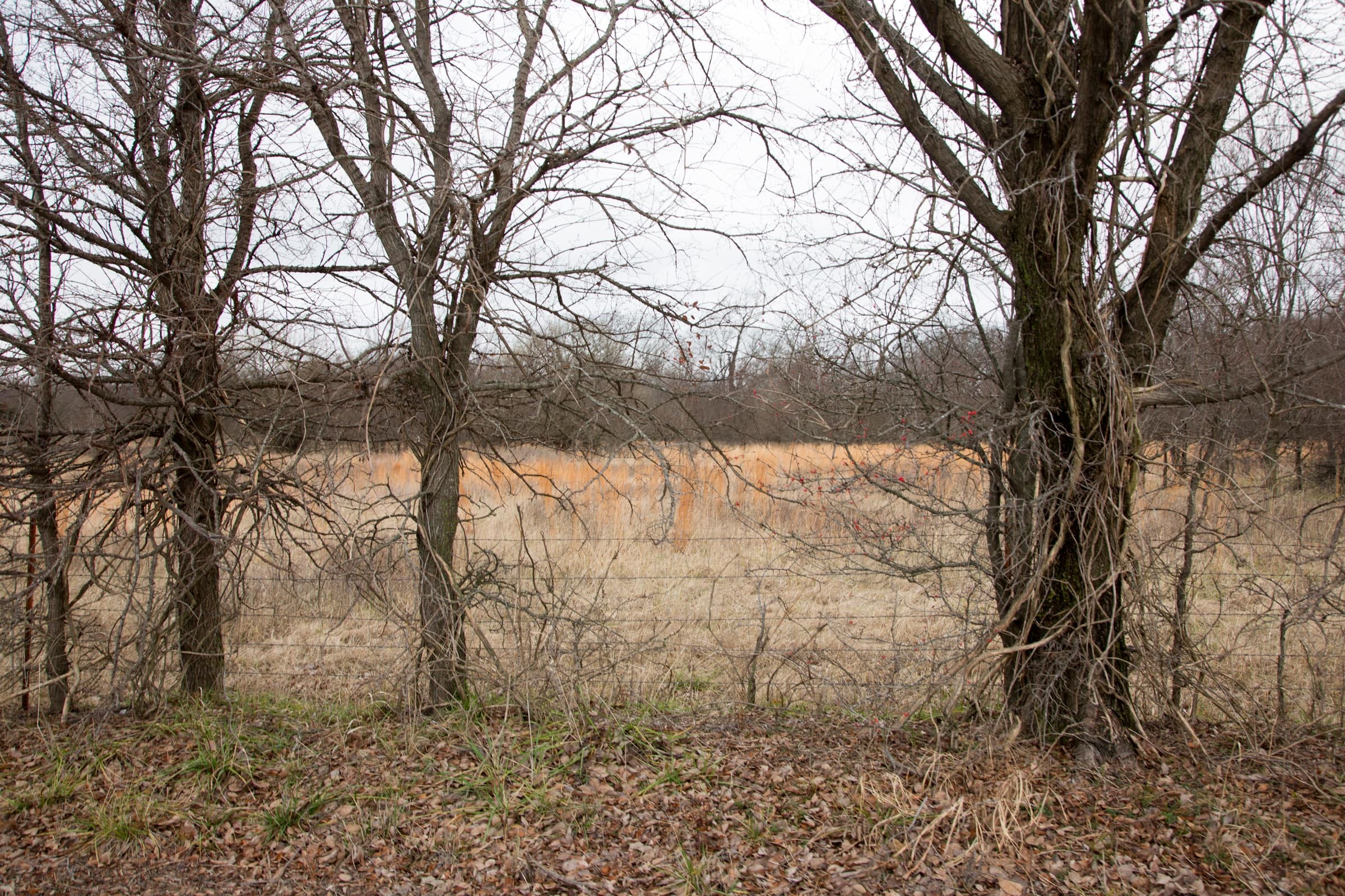 Canadian Plains Tract 4 photo 5