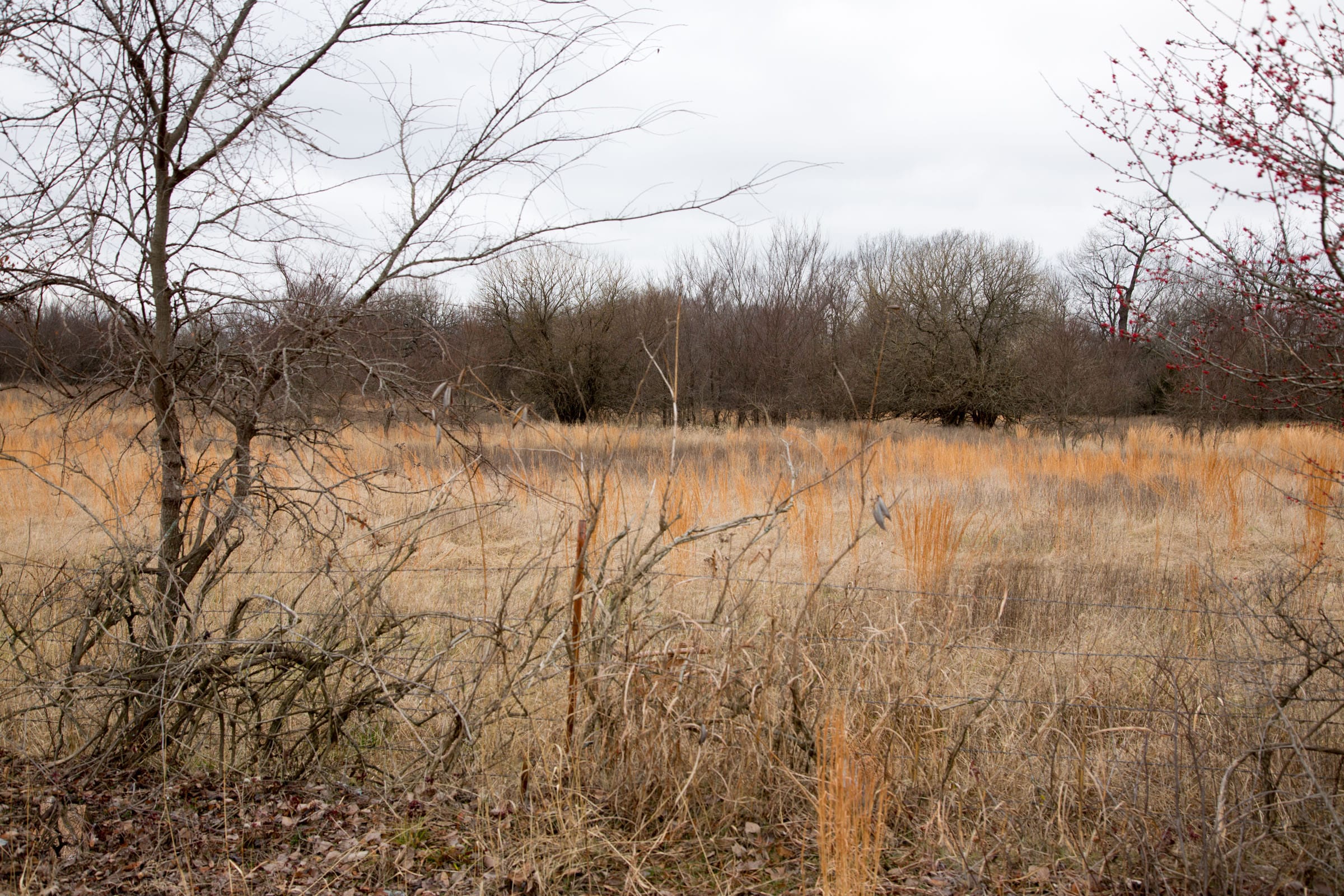 Canadian Plains Tract 4 photo 6