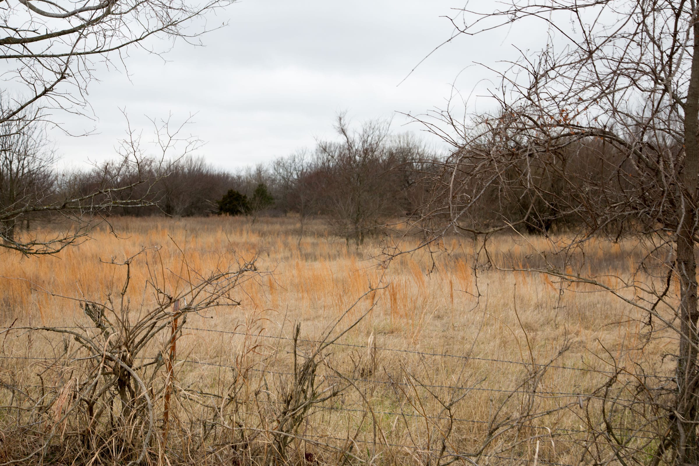 Canadian Plains Tract 4 photo 7