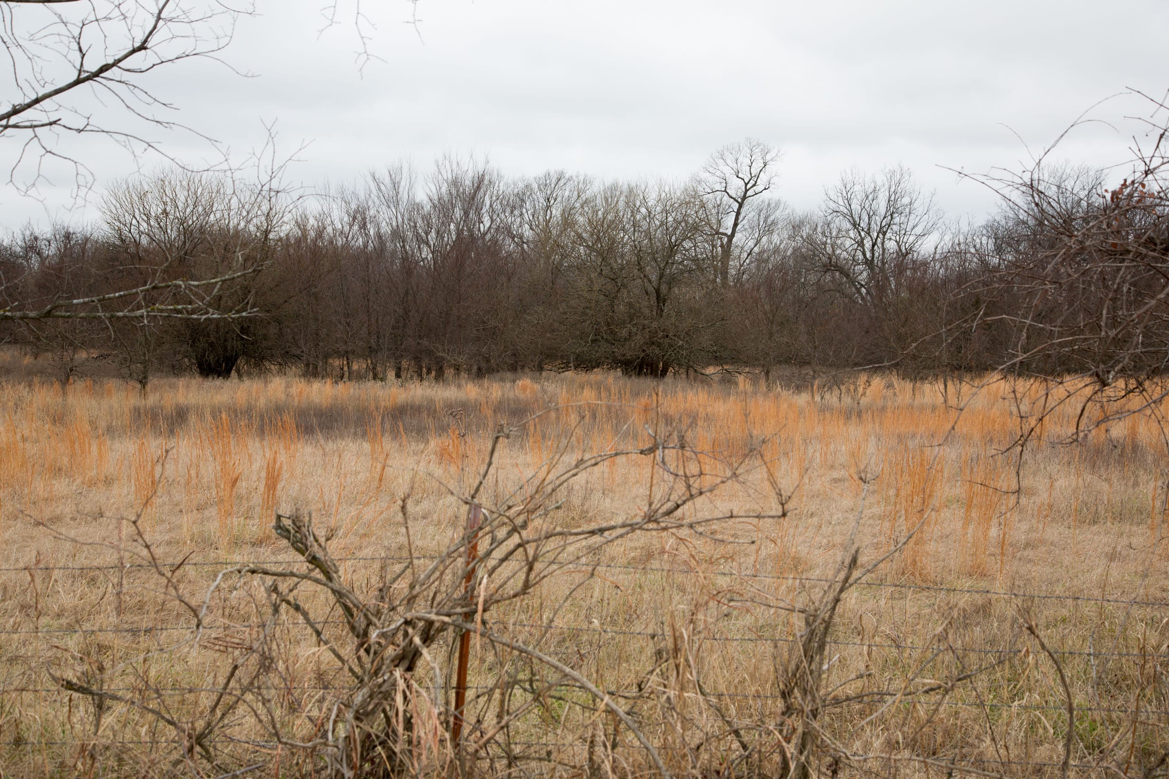 Canadian Plains Tract 4 photo 8