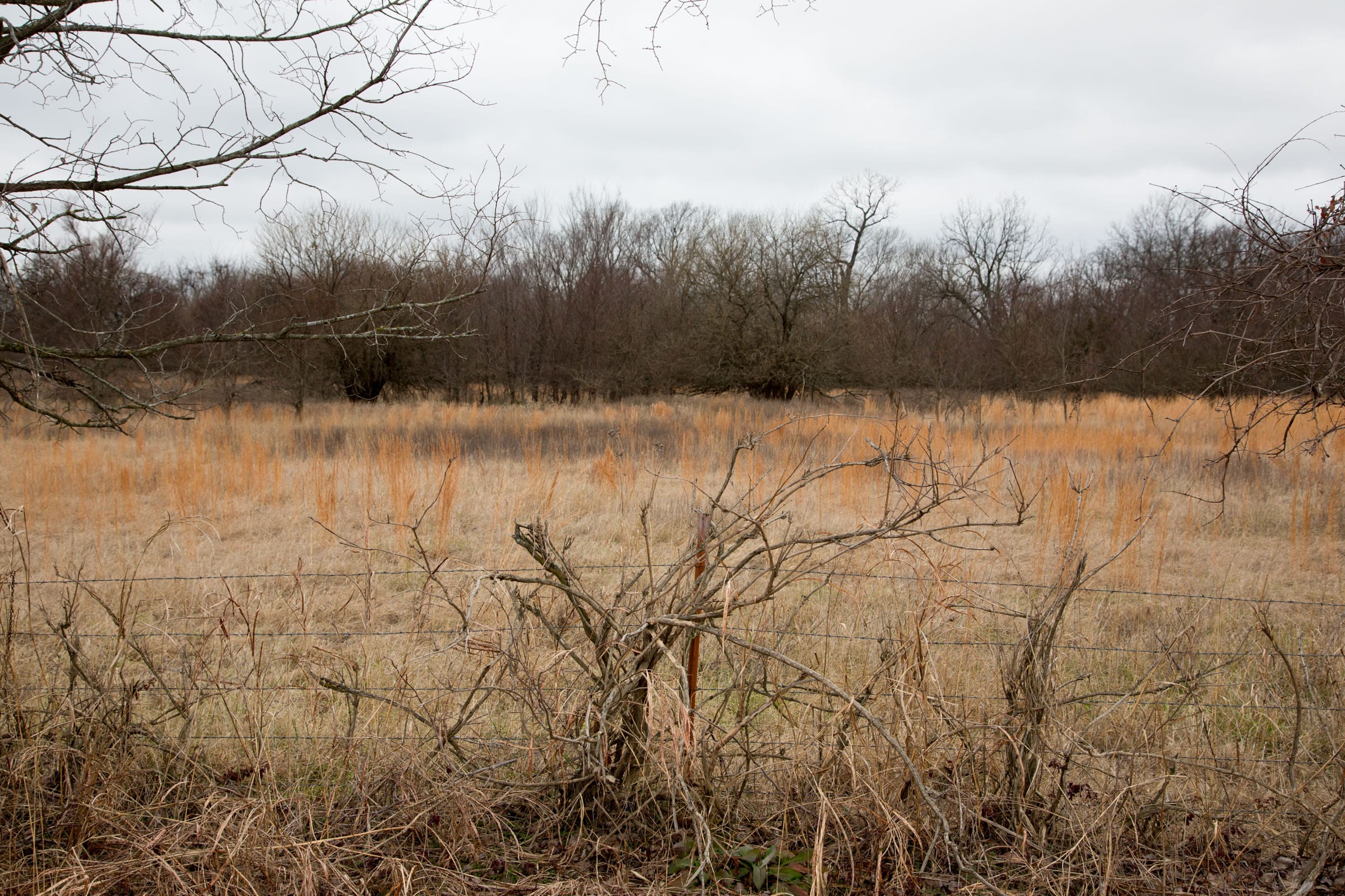 Canadian Plains Tract 4 photo 9