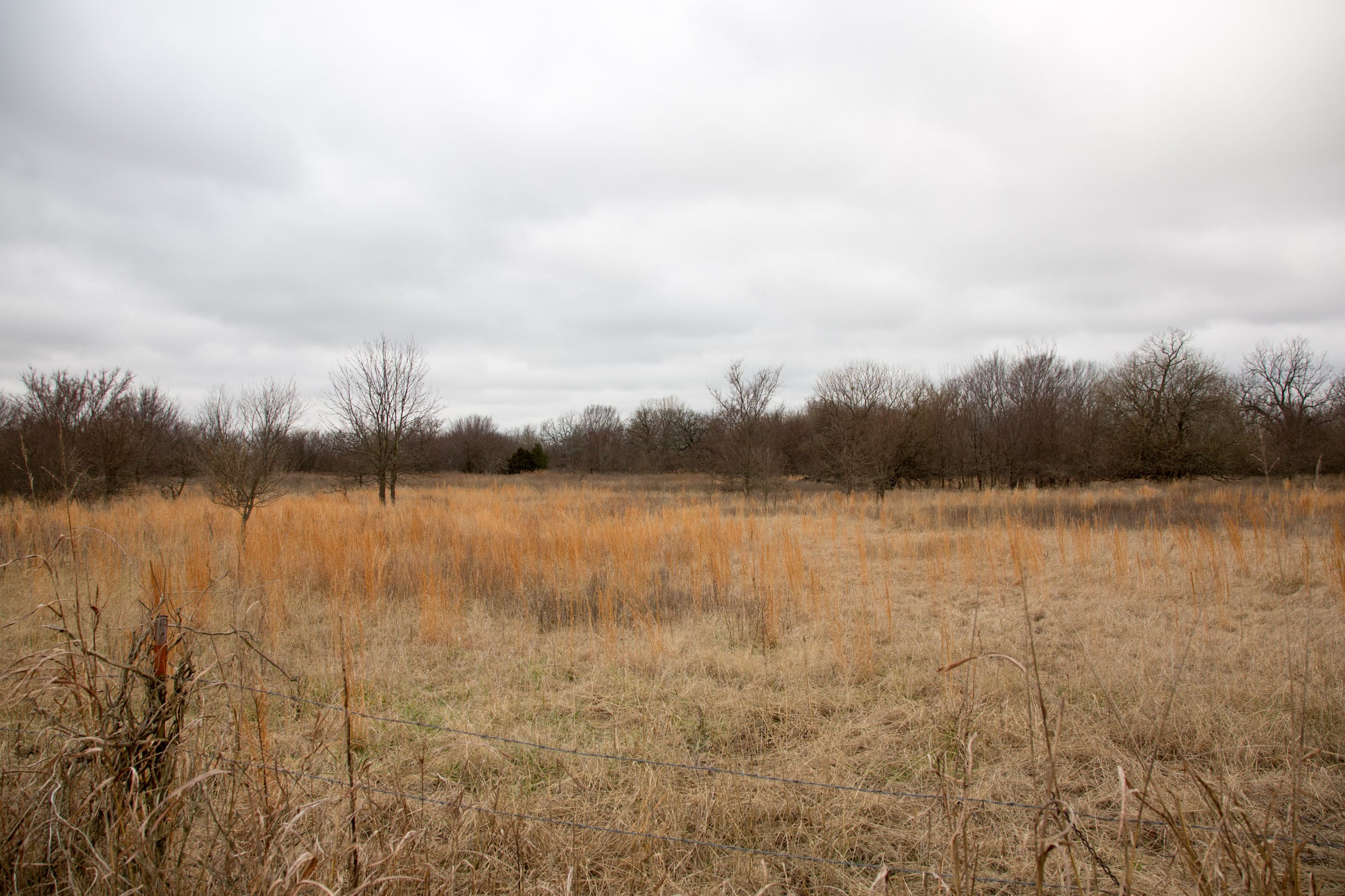 Canadian Plains Tract 4 photo 10