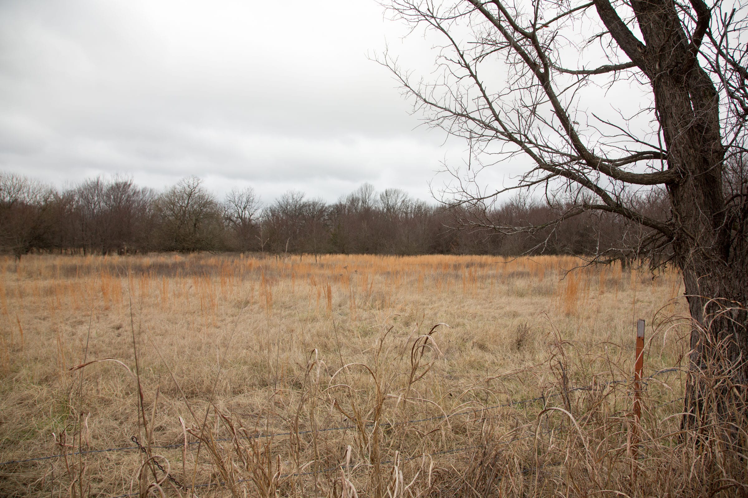 Canadian Plains Tract 4 photo 11